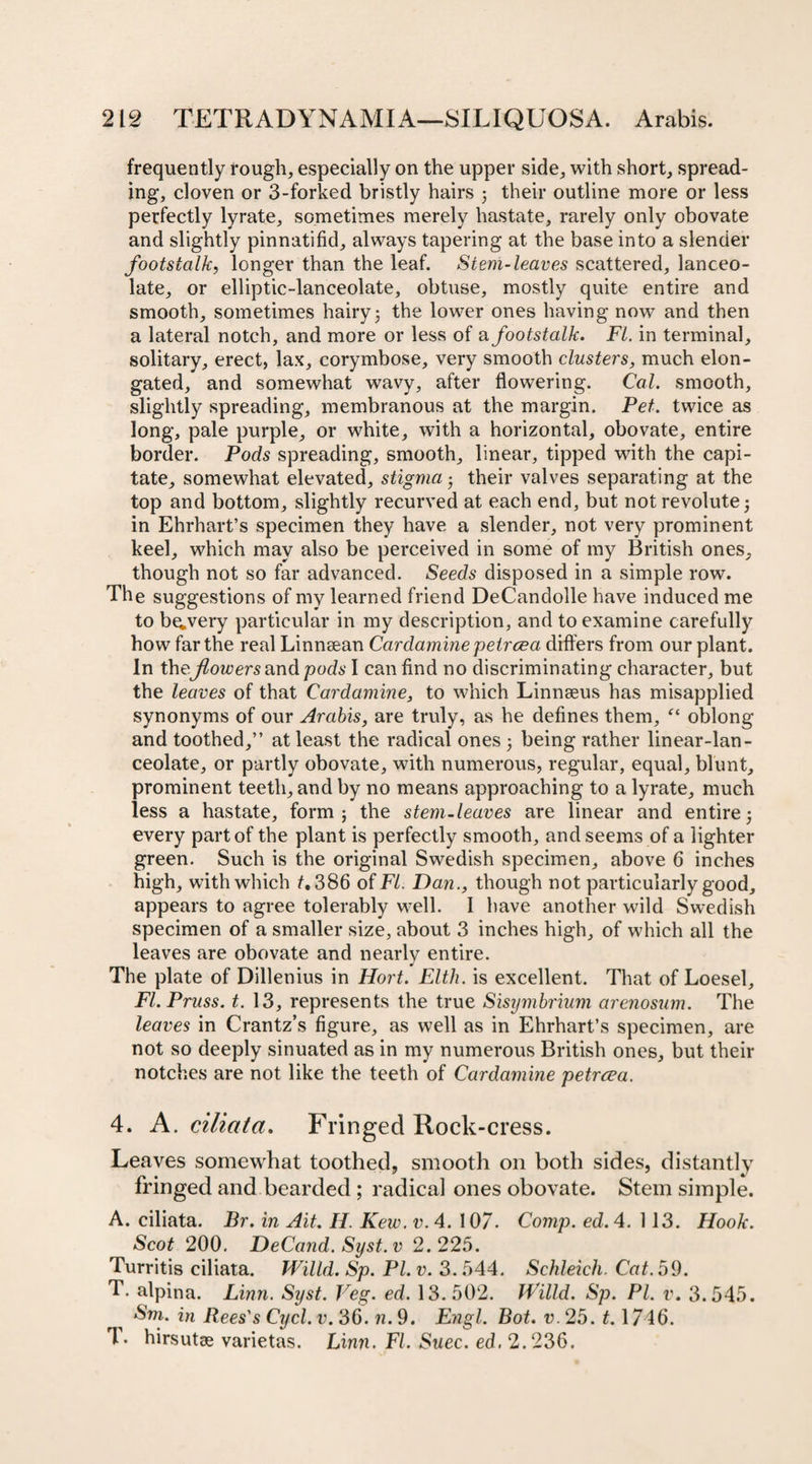 frequently rough, especially on the upper side, with short, spread¬ ing, cloven or 3-forked bristly hairs 3 their outline more or less perfectly lyrate, sometimes merely hastate, rarely only obovate and slightly pinnatifid, always tapering at the base into a slender footstalk, longer than the leaf. Stem-leaves scattered, lanceo¬ late, or elliptic-lanceolate, obtuse, mostly quite entire and smooth, sometimes hairy 5 the lower ones having now and then a lateral notch, and more or less of a footstalk. FI. in terminal, solitary, erect, lax, corymbose, very smooth clusters, much elon¬ gated, and somewhat wavy, after flowering. Cal. smooth, slightly spreading, membranous at the margin. Pet. twice as long, pale purple, or white, with a horizontal, obovate, entire border. Pods spreading, smooth, linear, tipped with the capi¬ tate, somewhat elevated, stigma • their valves separating at the top and bottom, slightly recurved at each end, but not revolute 3 in Ehrhart’s specimen they have a slender, not very prominent keel, which may also be perceived in some of my British ones, though not so far advanced. Seeds disposed in a simple row. The suggestions of my learned friend DeCandolle have induced me to b^very particular in my description, and to examine carefully how far the real Linnsean Cardamine petrcea differs from our plant. In theflowers and pods I can find no discriminating character, but the leaves of that Cardamine, to which Linnaeus has misapplied synonyms of our Arabis, are truly, as he defines them, “ oblong and toothed,” at least the radical ones 3 being rather linear-lan¬ ceolate, or partly obovate, with numerous, regular, equal, blunt, prominent teeth, and by no means approaching to a lyrate, much less a hastate, form ; the stem-leaves are linear and entire 3 every part of the plant is perfectly smooth, and seems of a lighter green. Such is the original Swedish specimen, above 6 inches high, with winch 386 of FI. Dan., though not particularly good, appears to agree tolerably well. I have another wild Swedish specimen of a smaller size, about 3 inches high, of which all the leaves are obovate and nearly entire. The plate of Dillenius in Hort. Elth. is excellent. That of Loesel, FI. Pruss. t. 13, represents the true Sisymbrium arenosum. The leaves in Crantz’s figure, as well as in Ehrhart’s specimen, are not so deeply sinuated as in my numerous British ones, but their notches are not like the teeth of Cardamine petrcea. 4. A. ciliata. Fringed Rock-cress. Leaves somewhat toothed, smooth on both sides, distantly fringed and bearded ; radical ones obovate. Stem simple. A. ciliata. Br. in Ait. II. Kew. v. 4. 107. Comp. ed. 4. 113. Hook. Scot 200. DeCand. Syst.v 2.225. Turritis ciliata. Willd. Sp. PI. v. 3. 544. Schleich. Cat. 59. T. alpina. Linn. Syst. Veg. ed. 13.502. Willd. Sp. PI. v. 3.545. Sm. in Rees's Cycl. v. 36. n. 9. Engl. Bot. v. 25. 1.1746. T. hirsutse varietas. Linn. FI. Suec. ed. 2.236.