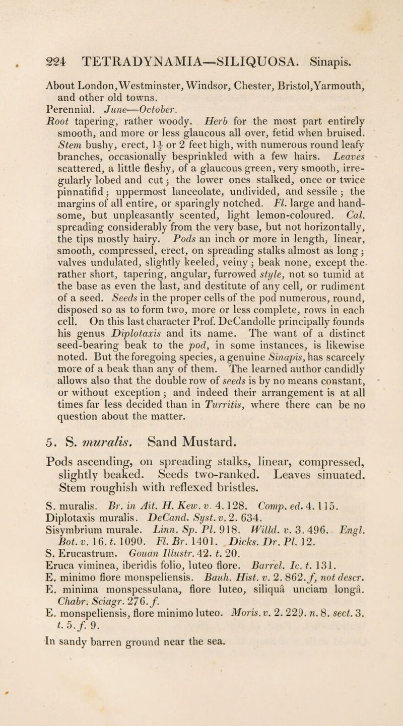 About London, Westminster, Windsor, Chester, Bristol,Yarmouth, and other old towns. Perennial. June—October. Root tapering, rather woody. Herb for the most part entirely smooth, and more or less glaucous all over, fetid when bruised. Stem bushy, erect, \ \ or 2 feet high, with numerous round leafy branches, occasionally besprinkled with a few hairs. Leaves scattered, a little fleshy, of a glaucous green, very smooth, irre¬ gularly lobed and cut; the lower ones stalked, once or twice pinnatifid • uppermost lanceolate, undivided, and sessile 3 the margins of all entire, or sparingly notched. FI. large and hand¬ some, but unpleasantly scented, light lemon-coloured. Cal. spreading considerably from the very base, but not horizontally, the tips mostly hairy. Pods an inch or more in length, linear, smooth, compressed, erect, on spreading stalks almost as long 3 valves undulated, slightly keeled, veiny 3 beak none, except the. rather short, tapering, angular, furrowed style, not so tumid at the base as even the last, and destitute of any cell, or rudiment of a seed. Seeds in the proper cells of the pod numerous, round, disposed so as to form two, more or less complete, rows in each cell. On this last character Prof. DeCandolle principally founds his genus Diplotaxis and its name. The want of a distinct seed-bearing beak to the pod, in some instances, is likewise noted. But the foregoing species, a genuine Sinapis, has scarcely more of a beak than any of them. The learned author candidly allows also that the double row of seeds is by no means constant, or without exception 3 and indeed their arrangement is at all times far less decided than in Turritis, where there can be no question about the matter. 5. S. muralis. Sand Mustard. Pods ascending, on spreading stalks, linear, compressed, slightly beaked. Seeds two-ranked. Leaves sinuated. Stem roughish with reflexed bristles. S. muralis. Br. in Ait. H. Kew. v. 4.128. Comp. ed. 4. 115. Diplotaxis muralis. DeCand. Syst.v. 2. 634. Sisymbrium murale. Linn. Sp. PI. 918. Willd. v. 3. 496. Engl. Bot.v. 16.*. 1090. Fl.Br. 1401. Dicks. Dr. PI. 12. S. Erucastrum. Gouan lUustr. 42. t. 20. Eruca viminea, iberidis folio, luteo flore. Barrel. Ic.t. 131. E. minimo flore monspeliensis. Bauh. Hist. v. 2. 862. f, notdescr. E. minima monspessulana, flore luteo, siliqua unciam longa. Chabr. Sciagr. 2/6. f. E. monspeliensis, flore minimo luteo. Moris, v. 2. 229. n. 8. sect. 3. t. 5. f. 9. In sandy barren ground near the sea.