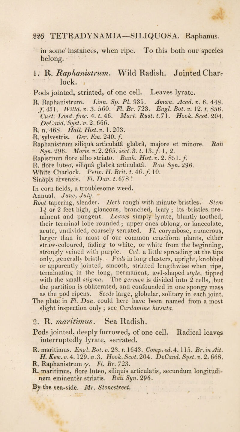 in some instances, when ripe. To this both our species 1. R. Raphanistrum. Wild Radish. Jointed Char¬ lock. Pods jointed, striated, of one cell. Leaves lyrate. R. Raphanistrum. Linn. Sp. PL 935. Amcen. Acad. v. 6. 448. /. 451. Willd. v. 3. 560. FI. Br. 723. Engl. Bot. v. 12. t. 856. Curt. Lond.fasc. 4. t. 46. Mart. Rust. £.71. Hook. Scot. 204. DeCand. Syst. v. 2. 666. R. n. 468. Hall. Hist.v. 1.203. R. sylvestris. Ger. Em. 240./. Raphanistrum siliqua articulata glabra, majore et minore. Raii Syn. 296. Moris, v. 2. 265. sect. 3. t. 13./ 1, 2. Rapistrum flore albo striato. Bauh. Hist.v. 2. 851./. R. flore luteo, siliqua glabra articulata. Raii Syn. 296. White Charlock. Petiv. PI. Brit. £.46,/. 10. Sinapis arvensis. FI, Dan. t.678 ! In corn fields, a troublesome weed. Annual. June, July. Root tapering, slender. Herb rough with minute bristles. Stem 14 or 2 feet high, glaucous, branched, leafy ; its bristles pro¬ minent and pungent. Leaves simply lyrate, bluntly toothed, their terminal lobe rounded; upper ones oblong, or lanceolate, acute, undivided, coarsely serrated. FI. corymbose, numerous, larger than in most of our common cruciform plants, either straw-coloured, fading to white, or white from the beginning, strongly veined with purple. Cal. a little spreading at the tips only, generally bristly. Pods in long clusters, upright, knobbed or apparently jointed, smooth, striated lengthwise when ripe, terminating in the long, permanent, awl-shaped style, tipped with the small stigma. The germen is divided into 2 cells, but the partition is obliterated, and confounded in one spongy mass as the pod ripens. Seeds large, globular, solitary in each joint. The plate in FI. Dan. could here have been named from a most slight inspection only; see Cardamine hirsuta. 2. R. maritimus. Sea Radish. Pods jointed, deeply furrowed, of one cell. Radical leaves interruptedly lyrate, serrated. R. maritimus. Engl. Bot. v. 23. t, 1643. Comp. ed.4.115. Br.inAit. H. Kew.v.4. 129. n.3. Hook. Scot. 204. DeCand. Syst. v. 2.668. R. Raphanistrum y. FI. Br. 723. R. maritimus, flore luteo, siliquis articulatis, secundum longitudi- nem eminenter striatis. Raii Syn. 296. By the sea-side, Mr. Stonestreet.