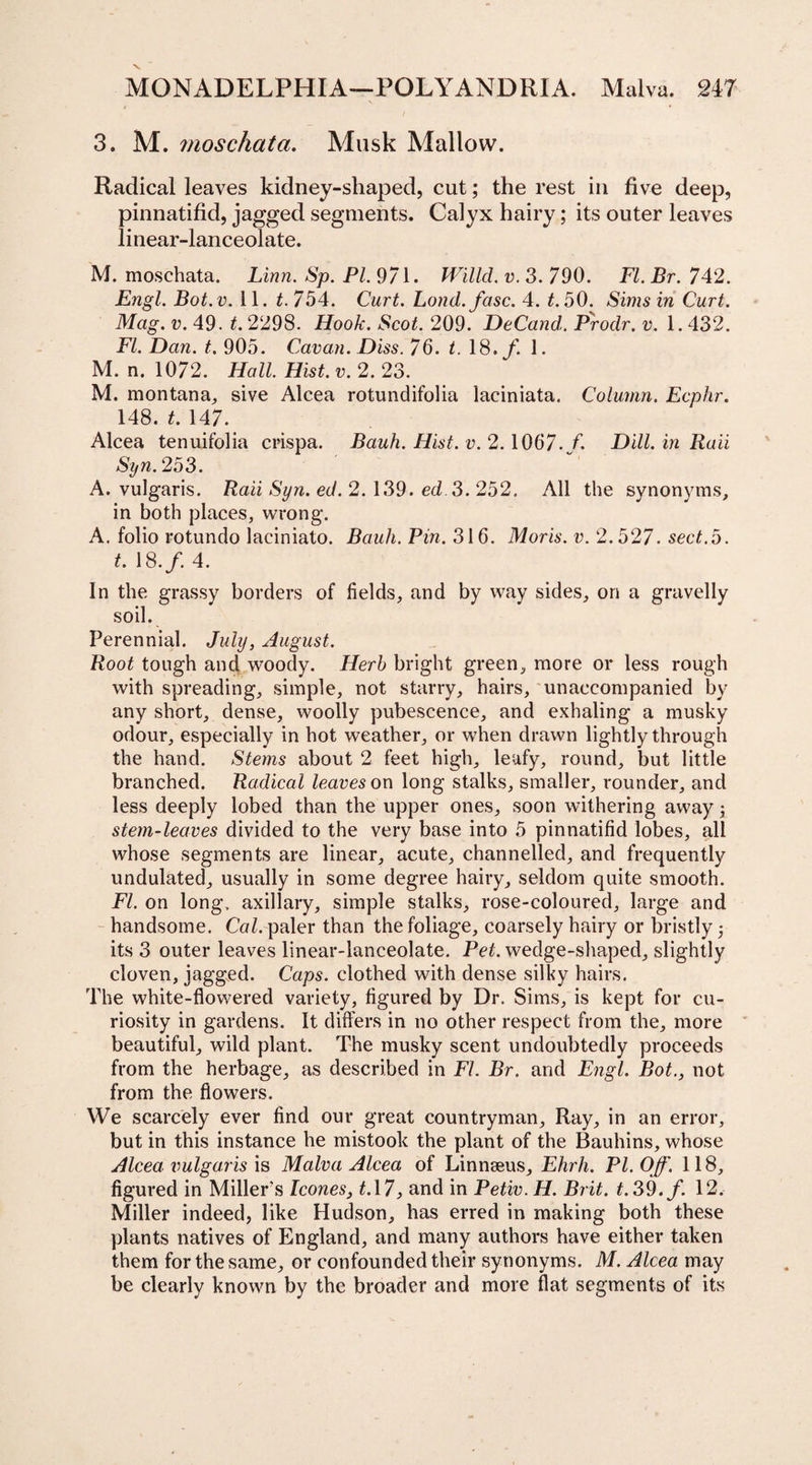 3. M. moscliata. Musk Mallow. Radical leaves kidney-shaped, cut; the rest in five deep, pinnatifid, jagged segments. Calyx hairy; its outer leaves linear-lanceolate. M. moschata. Linn. Sp. PL 971. Willcl. v. 3. 790. FI. Br. 742. Engl. Bot.v. 11. t. 754. Curt. Lond.fasc. 4. t. 50. Sims in Curt. Mag. v. 49. t. 2298. Hook. Scot. 209. DeCand. Prodr. v. 1.432. FI. Dan. t. 905. Cavan. Diss. 76. t. 18./. 1. M. n. 1072. Hall. Hist. v. 2. 23. M. montana, sive Alcea rotundifolia laciniata. Column. Ecphr. 148. t. 147. Alcea tenuifolia crispa. Bauh. Hist. v. 2.1067./. Dill, in Raii Syn. 253. A. vulgaris. Raii Syn. ed. 2. 139. ed.3. 252. All the synonyms, in both places, wrong. A. folio rotundo laciniato. Bauh. Pin. 316. Moris, v. 2.527. sect.5. t. 18./ 4. In the grassy borders of fields, and by way sides, on a gravelly soil. Perennial. July, August. Root tough and woody. Herb bright green, more or less rough with spreading, simple, not starry, hairs, unaccompanied by any short, dense, woolly pubescence, and exhaling a musky odour, especially in hot weather, or when drawn lightly through the hand. Stems about 2 feet high, leafy, round, but little branched. Radical leaves on long stalks, smaller, rounder, and less deeply lobed than the upper ones, soon withering away; stem-leaves divided to the very base into 5 pinnatifid lobes, all whose segments are linear, acute, channelled, and frequently undulated, usually in some degree hairy, seldom quite smooth. FI. on long, axillary, simple stalks, rose-coloured, large and handsome. Cal. paler than the foliage, coarsely hairy or bristly; its 3 outer leaves linear-lanceolate. Pet. wedge-shaped, slightly cloven, jagged. Caps, clothed with dense silky hairs. The white-flowered variety, figured by Dr. Sims, is kept for cu¬ riosity in gardens. It differs in no other respect from the, more beautiful, wild plant. The musky scent undoubtedly proceeds from the herbage, as described in FI. Br. and Engl. Bot., not from the flowers. We scarcely ever find our great countryman, Ray, in an error, but in this instance he mistook the plant of the Bauhins, whose Alcea vulgaris is Malva Alcea of Linnaeus, Ehrh. PI. Off. 118, figured in Miller's leones, £.17, and in Petiv. H. Brit. £.39./. 12. Miller indeed, like Hudson, has erred in making both these plants natives of England, and many authors have either taken them for the same, or confounded their synonyms. M. Alcea may be clearly known by the broader and more flat segments of its
