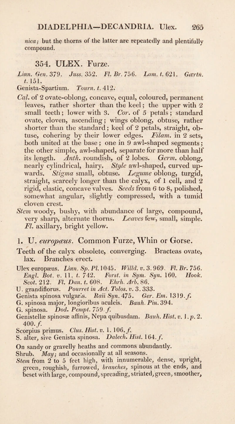 nica; but the thorns of the latter are repeatedly and plentifully compound. 354. ULEX. Furze. Linn. Gen. 379. Juss. 352. FI. Br. 756. Lam. t. 621. Gcertn. t. 151. Genista-Spartium. Tourn.t. 412. Cal. of 2 ovate-oblong, concave, equal, coloured, permanent leaves, rather shorter than the keel; the upper with 2 small teeth; lower with 3. Cor. of 5 petals; standard ovate, cloven, ascending; wings oblong, obtuse, rather shorter than the standard; keel of 2 petals, straight, ob¬ tuse, cohering by their lower edges. Filam. in 2 sets, both united at the base; one in 9 awl-shaped segments; the other simple, awl-shaped, separate for more than half its length. Antli. roundish, of 2 lobes. Germ, oblong, nearly cylindrical, hairy. Style awl-shaped, curved up¬ wards. Stigma small, obtuse. Legume oblong, turgid, straight, scarcely longer than the calyx, of 1 cell, and 2 rigid, elastic, concave valves. Seeds from 6 to 8, polished, somewhat angular, slightly compressed, with a tumid cloven crest. Stem woody, bushy, with abundance of large, compound, very sharp, alternate thorns. Leaves few, small, simple. FI. axillary, bright yellow. 1. U. europceus. Common Furze, Whin or Gorse. Teeth of the calyx obsolete, converging. Bracteas ovate, lax. Branches erect. Ule\* europseus. Linn. Sp. PL 1045. Willd. v. 3. 969. FI. Br. 7o6. Engl. Bot. v. 11. t. 742. Furst. in Sym. Syn. 160. Hook. Scot. 212. FI. Dan. t. 608. Ehrh. Arb. 86. U. grandiflorus. Pourret in Act. Tolos. v. 3. 333. Genista spinosa vulgaris. Raii Syn. 475. Ger. Em. 1319./. G. spinosa major, longioribus aculeis. Bauh. Pin. 394. G. spinosa. Dod. Perupt. 759 f. Genistellee spinosse affinis, Nepa quibusdam. Bauh. Hist. v. l.p. 2. 400./. Scorpius primus. Clus. Hist. v. 1. 106./. S. alter, sive Genista spinosa. Dalech. Hist. 164./. On sandy or gravelly heaths and commons abundantly. Shrub. May; and occasionally at all seasons. Stem from 2 to 5 feet high, with innumerable, dense, upright, green, roughish, furrowed, branches, spinous at the ends, and beset with large, compound, spreading, striated, green, smoother.