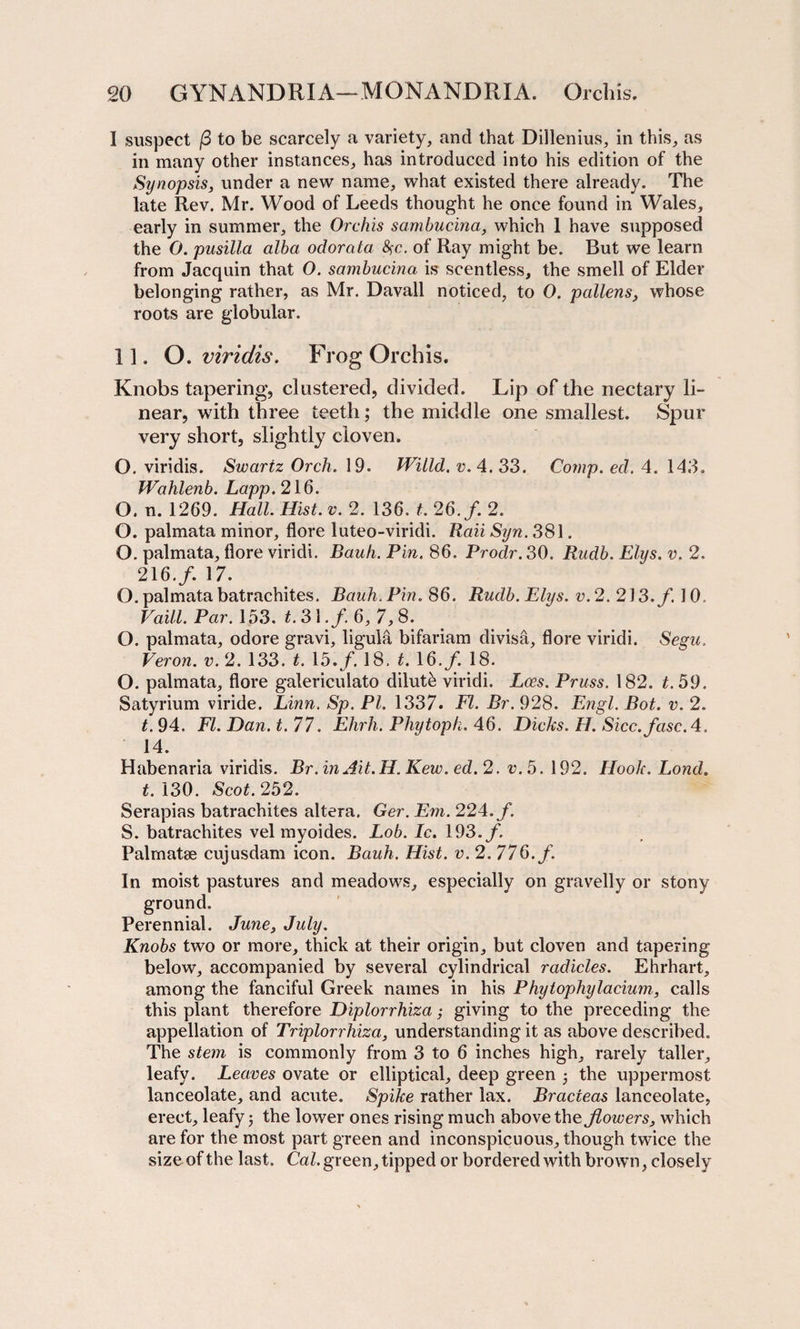 I suspect (3 to be scarcely a variety, and that Dillenius, in this, as in many other instances, has introduced into his edition of the Synopsis, under a new name, what existed there already. The late Rev. Mr. Wood of Leeds thought he once found in Wales, early in summer, the Orchis sambucina, which 1 have supposed the O. pusilla alba odorata 8$c. of Ray might be. But we learn from Jacquin that O. sambucina is scentless, the smell of Elder belonging rather, as Mr. Davall noticed, to 0. pollens, whose roots are globular. 11. O.viridis. Frog Orchis. Knobs tapering, clustered, divided. Lip of the nectary li¬ near, with three teeth; the middle one smallest. Spur very short, slightly cloven. O. viridis. Swariz Orch. 19. Willd. v. 4. 33. Comp. ed. 4. 143. Wahlenb. Lapp. 216. O. n. 1269. Hall. Hist. v. 2. 136. *.26./. 2. O. palmata minor, flore luteo-viridi. Raii Syn. 381. O. palmata, flore viridi. Bauh. Pin. 86. Prodr. 30. Rudb. Elys. v. 2. 216./. 17. O. palmata batrachites. Bauh. Pin. 86. Rudb. Elys. v.2. 213./ 10. Vaill. Par. 153. *.31./6, 7,8. O. palmata, odore gravi, ligula bifariam divisa, flore viridi. Segu. Veron. v.2. 133. t. 15./. 18. *. 16./. 18. O. palmata, flore galericulato dilute viridi. Lees. Pruss. 182. *.59. Satyrium viride. Linn. Sp. PI. 1337. FI. Br. 928. Engl. Bot. v. 2. *.94, FI. Dan. t. 77. Ehrh. Phytopk. 46. Dicks. H. Sicc.fasc.4. 14. Habenaria viridis. Br.inAit.H. Kew. ed. 2. v.5. 192. Hook. Lond. *.130. Scot. 252. Serapias batrachites altera. Ger. Em. 224. f. S. batrachites vel myoides. Lob. Ic. 193./. Palmatse cujusdam icon. Bauh. Hist. v. 2. 776. f. In moist pastures and meadows, especially on gravelly or stony ground. Perennial. June, July. Knobs two or more, thick at their origin, but cloven and tapering below, accompanied by several cylindrical radicles. Ehrhart, among the fanciful Greek names in his Phytophylacium, calls this plant therefore Diplorrhiza; giving to the preceding the appellation of Triplorrhiza, understanding it as above described. The stem is commonly from 3 to 6 inches high, rarely taller, leafy. Leaves ovate or elliptical, deep green the uppermost lanceolate, and acute. Spike rather lax. Bracieas lanceolate, erect, leafy; the lower ones rising much above the flowers, which are for the most part green and inconspicuous, though twice the size of the last. Cal. green, tipped or bordered with brown, closely