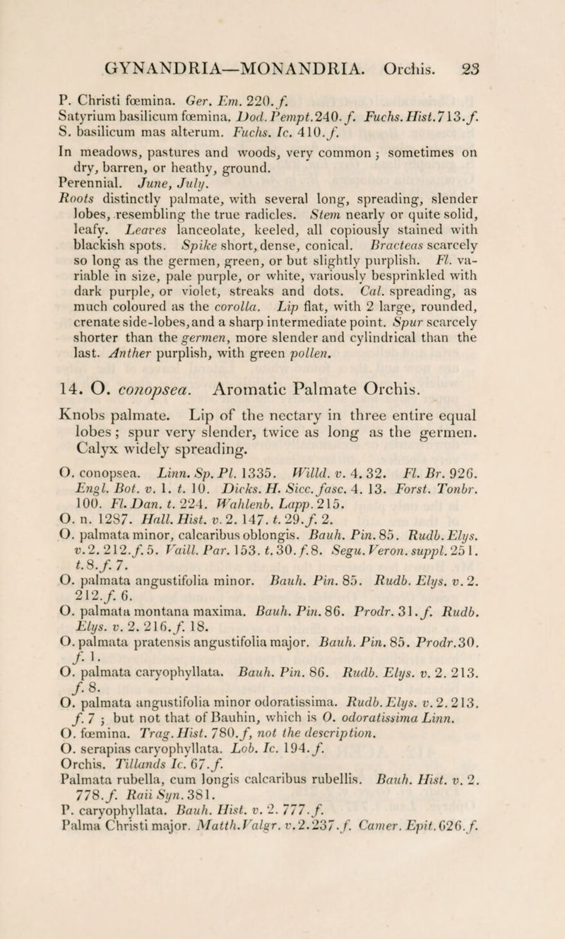 P. Christi foemina. Ger. Em. 220. /. Satyrium basilicum foemina. Dod. Pempt. 240. /. Fuchs. Hist. 713./. S. basilicum mas alterum. Fuchs. Ic. 410./. In meadows, pastures and woods, very common ; sometimes on dry, barren, or heathy, ground. Perennial. June, July. Roots distinctly palmate, with several long, spreading, slender lobes, resembling the true radicles. Stem nearly or quite solid, leafy. Leaves lanceolate, keeled, all copiously stained with blackish spots. Spike short, dense, conical. Bractcas scarcely so long as the germen, green, or but slightly purplish. FI. va¬ riable in size, pale purple, or white, variously besprinkled with dark purple, or violet, streaks and dots. Cal. spreading, as much coloured as the corolla. Lip flat, with 2 large, rounded, crenate side-lobes,and a sharp intermediate point. Spur scarcely shorter than the germen, more slender and cylindrical than the last. Anther purplish, with green pollen. 14. O. conopsea. Aromatic Palmate Orchis. Knobs palmate. Lip of the nectary in three entire equal lobes; spur very slender, twice as long as the germen. Calyx widely spreading. O. conopsea. Linn. Sp. PL 1335. IVilld. v. 4. 32. FI. Br. 92G. Engl. Bot. v. 1. t. 10. Dicks. H. Sicc.fasc. 4. 13. Forst. Tonhr. 100. FI. Dan. t. 224. Wahlenb. Lapp. 215. O. n. 1237. Hall. Hist. v. 2. 147. t. 29./. 2. O. palmata minor, calcaribus oblongis. Bauh. Pin. 85. Rudh.Elys. r.2.212./. 5. Vaill. Par. 153. t. 30. /. 8. Segu.Veron. suppl.25\. t.S.f. 7. O. palmata angustifolia minor. Bauh. Pin. 85. Rudb. Elys. v.2. 212./. 6. O. palmata montana maxima. Bauh. Pin. 86. Prodr. 31./. Rudb. Elys. v. 2. 216./. 18. O. palmata pratensis angustifolia major. Bauh. Pin, 85. Prodr.30. /• L O. palmata caryophyllata. Bauh. Pin. 86. Rudb. Elys. v. 2. 213. /• 8. O. palmata angustifolia minor odoratissima. Rudb. Elys. v. 2. 213. /. 7 j but not that ofBauhin, which is O. odoratissima Linn. O. foemina. Trag. Hist. 780./, not the description. O. serapias caryophyllata. Lob. Ic. 194./. Orchis. Tillands Ic. 67./ Palmata rubella, cum longis calcaribus rubellis. Bauh. Hist. v. 2. 778./. RaiiSyn. 381. P. caryophyllata. Bauh. Hist. v. 2. 777.f. Palma Christi major. Matth.Valgr. v.2.237./. Camer. Epit.626.f.