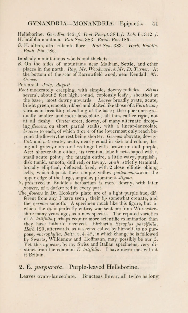 Helleborine. Ger. Em. 442. f. Dod. Pempt. 384. f. Lob. Ic. 312 /. H. latifolia montana. Raii Syn. 383. Bank. Pin. 186. 3. H. altera, atro rubente flore. Raii Syn. 383. Herb. Buddie. Bauh. Pin. 186. In shady mountainous woods and thickets. (3. On the sides of mountains near Malham, Settle, and other places in the north. Ray, Mr. Woodward, $ Mr. D. Turner. At the bottom of the scar of Barrowfield wood, near Kendall. Mr. Crowe. Perennial. July, August. Root moderately creeping, with simple, downy radicles. Stems several, about 2 feet high, round, copiously leafy ; sheathed at the base ; most downy upwards. Leaves broadly ovate, acute, bright green, smooth, ribbed and plaited like those of a Veratrum; various in breadth 5 sheathing at the base 5 the upper ones gra¬ dually smaller and more lanceolate ; all thin, rather rigid, not at all fleshy. Cluster erect, downy, of many alternate droop- ing flowers, on short partial stalks, with a linear-lanceolate bractea to each, of which 3 or 4 of the lowermost only reach be¬ yond the flower, the rest being shorter. Germen obovate, downy. Cal. and pet. ovate, acute, nearly equal in size and colour, be¬ ing all green, more or less tinged with brown or dull purple. Nect. shorter than either, its terminal lobe heart-shaped with a small acute point; the margin entire, a little wavy, purplish ; disk tumid, smooth, dull red, or tawny. Anth. strictly terminal, broadly elliptical, deflexed, fixed, with 2 close elliptic-oblong cells, which deposit their simple yellow pollen-masses on the upper edge of the large, angular, prominent stigma. (3, preserved in Buddie’s herbarium, is more downy, with later Jlowers, of a darker red in every part. The Jlowers in Dr. Hooker’s plate are of a light purple hue, dif¬ ferent from any I have seen their lip somewhat crenate, and the germen smooth. A specimen much like this figure, but in which the Up is perfectly entire, was sent me from Worcester¬ shire many years ago, as a new species. The reputed varieties of E. latifolia perhaps require more scientific examination than they have hitherto received. Ehrhart’s Serapias parvifolia, Herb. 120, afterwards, as it seems, called by himself, to no pur¬ pose, microphylla, Beitr. v. 4. 42, in which change he is followed by Swartz, Willdenow and Hoffmann, may possibly be our (3. Yet this appears, by my Swiss and Italian specimens, very di¬ stinct from the common E. latifolia. I have never met with it it Britain. 2. E. purpurata. Purple-leaved Helleborine. Leaves ovate-lanceolate. Bracteas linear, all twice as long