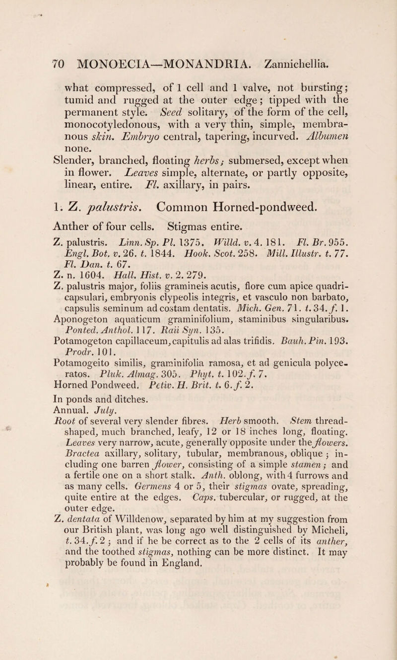 what compressed, of 1 cell and 1 valve, not bursting; tumid and rugged at the outer edge; tipped with the permanent style. Seed solitary, of the form of the cell, monocotyledonous, with a very thin, simple, membra¬ nous slcm. Embryo central, tapering, incurved. Albumen none. Slender, branched, floating herbs; submersed, except when in flower. Leaves simple, alternate, or partly opposite, linear, entire. FI. axillary, in pairs. 1. Z. palustris. Common Horned-pondweed. Anther of four cells. Stigmas entire. Z. palustris. Linn. Sp. PI. 1375, Willd. v. 4.181. FI. Br. 955. Engl. Bot. v. 26. t. 1844. Hook. Scot. 258. Mill. Illustr. t. 77. FI. Dan. t. 67. Z. n. 1604. Hall. Hist. v. 2. 279. Z. palustris major, foliis gramineis acutis, flore cum apice quadri- capsulari, embryonis clypeolis integris, et vasculo non barbato, capsulis seminum ad costam dentatis. Mich. Gen. 71. t.34.f. 1. Aponogeton aquaticum graminifolium, staminibus singularibus. Pouted. Anthol. 117. Baii Syn. 135. Potamogeton capillaceum,capitulis ad alas trifidis. Bauh. Pin. 193. Prodr. 101. Potamogeito similis, graminifolia ramosa, et ad genicula polyce- ratos. Pink. Almag. 305. Phyt. t. 102./. 7. Horned Pondweed, Petiv. H. Brit. t. 6.f. 2. In ponds and ditches. Annual. July. Boot of several very slender fibres. Herb smooth. Stem thread¬ shaped, much branched, leafy, 12 or 18 inches long, floating. Leaves very narrow, acute, generally opposite under theJlowers. Bractea axillary, solitary, tubular, membranous, oblique j in¬ cluding one barren Jlower, consisting of a simple stamen; and a fertile one on a short stalk. Anth. oblong, with 4 furrows and as many cells. Germens 4 or 5, their stigmas ovate, spreading, quite entire at the edges. Caps, tubercular, or rugged, at the outer edge. Z. dentata of Willdenow, separated by him at my suggestion from our British plant, was long ago well distinguished by Micheli, t. 34. f. 2 • and if he be correct as to the 2 cells of its anther, and the toothed stigmas, nothing can be more distinct. It may probably be found in England.