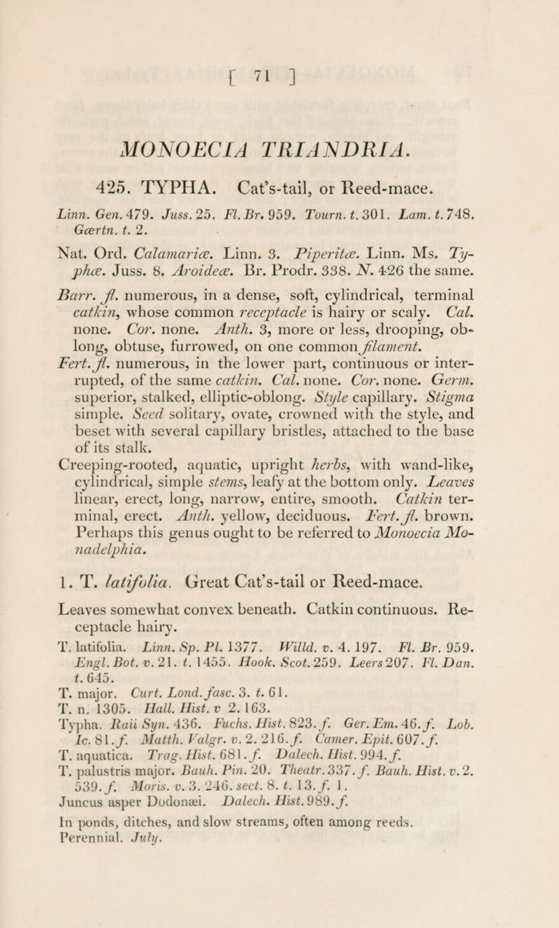 [ ] MONO EC IA Till AN Dili A. 425. TYPHA. Cat’s-tail, or Reed-mace. Linn. Gen. 479. Juss. 25. Fl.Br.959. Tourn.t. 301. Lam. t. 748. Gcertn. t. 2. Nat. Ord. Ccilamciricc. Linn. 3. Piperita. Linn. Ms. Ty¬ pha. Juss. 8. Aroidea. Br. Prodr. 338. N. 426 the same. Barr. Ji. numerous, in a dense, soft, cylindrical, terminal catkin, whose common receptacle is hairy or scaly. Cal. none. Cor. none. Anth. 3, more or less, drooping, ob¬ long, obtuse, furrowed, on one common Jilament. Fert.Jl. numerous, in the lower part, continuous or inter¬ rupted, of the same catkin. Cal. none. Cor. none. Germ. superior, stalked, elliptic-oblong. Style capillary. Stigma simple. Seed solitary, ovate, crowned with the style, and beset with several capillary bristles, attached to the base of its stalk. Creeping-rooted, aquatic, upright herbs, with wand-like, cylindrical, simple stems, leafy at the bottom only. Leaves linear, erect, long, narrow, entire, smooth. Catkin ter¬ minal, erect. Anth. yellow, deciduous. Pert.jl. brown. Perhaps this genus ought to be referred to Monoecia Mo- nadelphia. 1. T. latifolia. Great Cat’s-tail or Reed-mace. Leaves somewhat convex beneath. Catkin continuous. Re¬ ceptacle hairy. T. latifolia. Linn. Sp. PI. 1377. fVilld. v. 4. 197. FI. Br. 959. Engl. Bot. v. 21. t. 1455. Hook. Scot. 259. Leers 207. FI. Dan. t. 645. T. major. Curt. Lond.fasc. 3. t. 61. T. n. 1305. Hall. Hist, v 2. 1G3. Typha. Rail Syn. 436. Fuchs. Hist. 823. f. Ger.Em.46.f. Lob. Ic. 81./. Matth. Ealgr. v. 2. 216./. Camer. Epit. 607. f. T. aquatica. Trag. Hist. 681./. Dalech. Hist. 994. f. T. palustris major. Bauh. Pin. 20. Theatr .337. f. Bauh. Hist. v.2. 539./. Moris, v. 3. 246. sect. 8. t. 13./. 1. Juncus asper Dodonaei. Dalech. Hist. 989./ In ponds, ditches, and slow streams, often among reeds. Perennial. July.