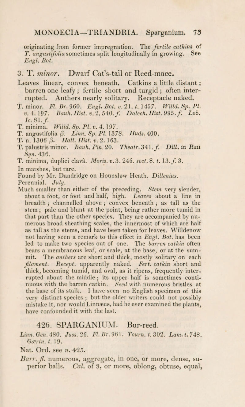 originating from former impregnation. The fertile catkins of T. angustifolia sometimes split longitudinally in growing. See Engl. Bot. 3. T. minor. Dwarf Cat’s-tail or Reed-mace. Leaves linear, convex beneath. Catkins a little distant; barren one leafy ; fertile short and turgid ; often inter¬ rupted. Anthers nearly solitary. Receptacle naked. T. minor. FI. Br. 960. Engl. Bot. v. 21. t. 1457. Willd. Sp. PI. v. 4. 197. Bank. Flist. v. 2. 540. f. Dalech. Hist. 995. f. Lob. Ic. 81./. T. minima. Willd. Sp. PL v. 4. 197. T. angustifolia (3. Linn. Sp. PI. 1378. Huds. 400. T. n. 1306 (3. Hall. Hist. v. 2. 163. T. palustris minor. Bauh. Pin. 20. Theair. 341./. Dill.inRaii Syn. 436. T. minima, duplici clava. Moris, v.3. 246. sect. 8. t. 13./. 3. In marshes, but rare. Found by Mr. Dandridge on Hounslow Heath. Dillenius. Perennial. July. Much smaller than either of the preceding. Stem very slender, about a foot, or foot and half, high. Leaves about a line in breadth 5 channelled above 5 convex beneath -} as tall as the stem; pale and blunt at the point, being rather more tumid in that part than the other species. They are accompanied by nu¬ merous broad sheathing scales, the innermost of which are half as tall as the stems, and have been taken for leaves. Willdenow not having seen a remark to this effect in Engl. Bot. has been led to make two species out of one. The barren catkin often bears a membranous leaf, or scale, at the base, or at the sum¬ mit. The anthers are short and thick, mostly solitary on each filament. Recept. apparently naked. Fert. catkin short and thick, becoming tumid, and oval, as it ripens, frequently inter¬ rupted about the middle 5 its upper half is sometimes conti¬ nuous with the barren catkin. Seed with numerous bristles at the base of its stalk. I have seen no English specimen of this verv distinct species ; but the older writers could not possibly mistake it, nor would Linneeus, had he ever examined the plants, have confounded it with the last. 426. SPARGANIUM. Bur-reed. Linn. Gen. 480. Juss.26. Fl.Br. 961. Tourn. t. 302. Lam. t. 748. Gcerln. t. 1 9. Nat. Ord. see n. 425. Barr. Jl. numerous, aggregate, in one, or more, dense, su¬ perior balls. Cal. of 3, or more, oblong, obtuse, equal,