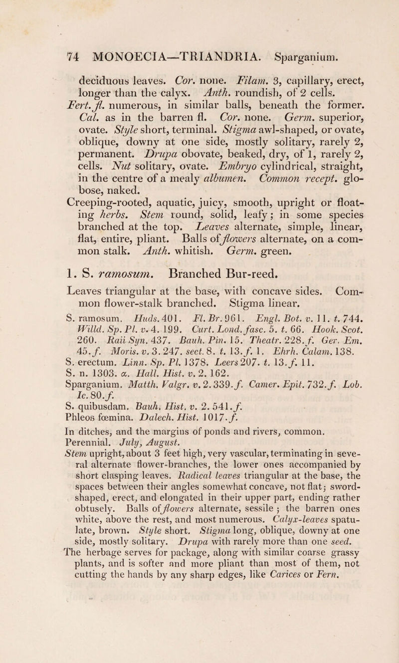 deciduous leaves. Cor. none. Filam. 3, capillary, erect, longer than the calyx. Anth. roundish, of 2 cells. Fert.jl. numerous, in similar halls, beneath the former. Cal. as in the barren fl. Cor. none. Germ, superior, ovate. Style short, terminal. Stigma awl-shaped, or ovate, oblique, downy at one side, mostly solitary, rarely 2, permanent. Drupa obovate, beaked, dry, of 1, rarely 2, cells. Nut solitary, ovate. Fmbryo cylindrical, straight, in the centre of a mealy albumen. Common recept. glo¬ bose, naked. Creeping-rooted, aquatic, juicy, smooth, upright or float¬ ing herbs. Stem round, solid, leafy; in some species branched at the top. Leaves alternate, simple, linear, flat, entire, pliant. Balls offlowers alternate, on a com¬ mon stalk. Anth. whitish. Germ, green. 1. S. ramosum. Branched Bur-reed. Leaves triangular at the base, with concave sides. Com¬ mon flower-stalk branched. Stigma linear. S. ramosum. Huds.46\. Fl.Br.961. Engl. Bot. v. 11. t. 744. Willd. Sp. PI. v. 4. 199. Curt. Lond.fasc. 5. t. 66. Hook. Scot. 260. Rail Syn. 437. Bauh. Pin. 15. Theatr. 228. f. Ger. Em. 45. f. Moris, v. 3. 247. sect. 8. t. 13. f. 1. Ehrh. Calam. 138. S. erectum. Linn. Sp. PI. 1378. Leers207. t. 13.f. 11. S. n. 1303. a. Hall. Hist. v. 2. 162. Sparganium. Matth. Valgr. v. 2.339. f. Carner. Epit. 732./. Lob. Ic. 80. f. S. quibusdam. Bauh. Hist. v. 2. 541./. Phleos foemina. Dalech. Hist. 1017-/. In ditches, and the margins of ponds and rivers, common. Perennial. July, August. Stem upright, about 3 feet high, very vascular, terminating in seve¬ ral alternate flower-branches, the lower ones accompanied by short clasping leaves. Radical leaves triangular at the base, the spaces between their angles somewhat concave, not flat; sword¬ shaped, erect, and elongated in their upper part, ending rather obtusely. Balls offlowers alternate, sessile ; the barren ones white, above the rest, and most numerous. Calyx-leaves spatu- Jate, brown. Style short. Stigma long, oblique, downy at one side, mostly solitary. Drupa with rarely more than one seed. The herbage serves for package, along with similar coarse grassy plants, and is softer and more pliant than most of them, not cutting the hands by any sharp edges, like Carices or Fern.