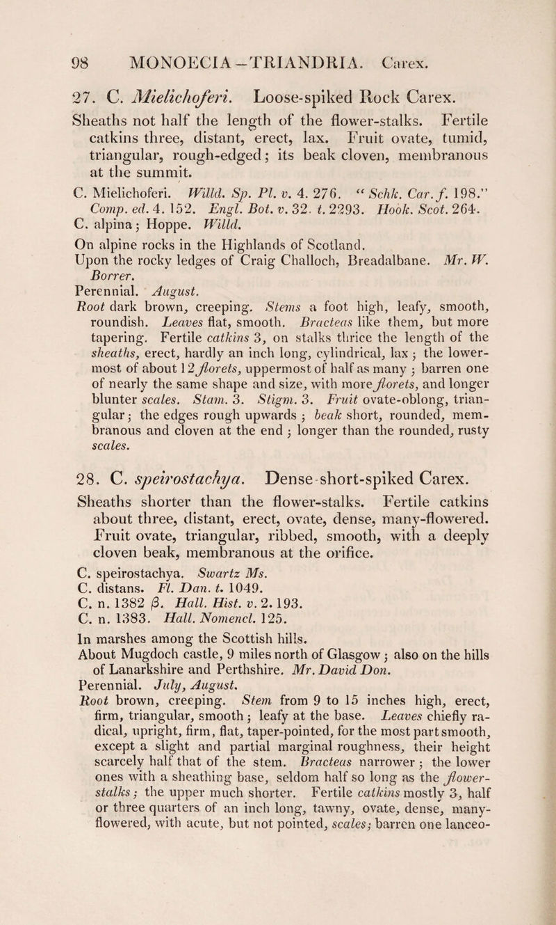 27. C. Mielichoferi. Loose-spiked Rock Carex. Sheaths not half the length of the flower-stalks. Fertile catkins three, distant, erect, lax. Fruit ovate, tumid, triangular, rough-edged; its beak cloven, membranous at the summit. C. Mielichoferi. Willd. Sp. PI. v. 4. 276. “ Schk. Car.f. 198.” Comp. ed. 4. 152. Engl. Bot. v. 32. t. 2293. Hook. Scot. 264. C. alpina 5 Hoppe. Willd. On alpine rocks in the Highlands of Scotland. Upon the rocky ledges of Craig Challoch, Breadalbane. Mr. W. Borrer. Perennial. August. Root dark brown, creeping. Stems a foot high, leafy, smooth, roundish. Leaves flat, smooth. Bracteas like them, but more tapering. Fertile catkins 3, on stalks thrice the length of the sheaths, erect, hardly an inch long, cylindrical, lax ; the lower¬ most of about 12 Jlorets, uppermost of half as many ; barren one of nearly the same shape and size, with more Jlorets, and longer blunter scales. Stam. 3. Stigm. 3. Fruit ovate-oblong, trian¬ gular,* the edges rough upwards 3 beak short, rounded, mem¬ branous and cloven at the end 3 longer than the rounded, rusty scales. 28. C. speirostachya. Dense short-spiked Carex. Sheaths shorter than the flower-stalks. Fertile catkins about three, distant, erect, ovate, dense, many-flowered. Fruit ovate, triangular, ribbed, smooth, with a deeply cloven beak, membranous at the orifice. C. speirostachya. Swartz Ms. C. distans. FI. Dan. t. 1049. C. n. 1382 (3. Hall. Hist. v. 2. 193. C. n. 1383. Hall. Nomencl. 125. In marshes among the Scottish hills. About Mugdoch castle, 9 miles north of Glasgow 3 also on the hills of Lanarkshire and Perthshire. Mr. David Don. Perennial. July, August. Root brown, creeping. Stem from 9 to 15 inches high, erect, firm, triangular, smooth 3 leafy at the base. Leaves chiefly ra¬ dical, upright, firm, flat, taper-pointed, for the most part smooth, except a slight and partial marginal roughness, their height scarcely half that of the stem. Bracteas narrower ; the lower ones with a sheathing base, seldom half so long as the Jlower- stalks; the upper much shorter. Fertile catkins mostly 3, half or three quarters of an inch long, tawny, ovate, dense, many- flowered, with acute, but not pointed, scales; barren one lanceo-