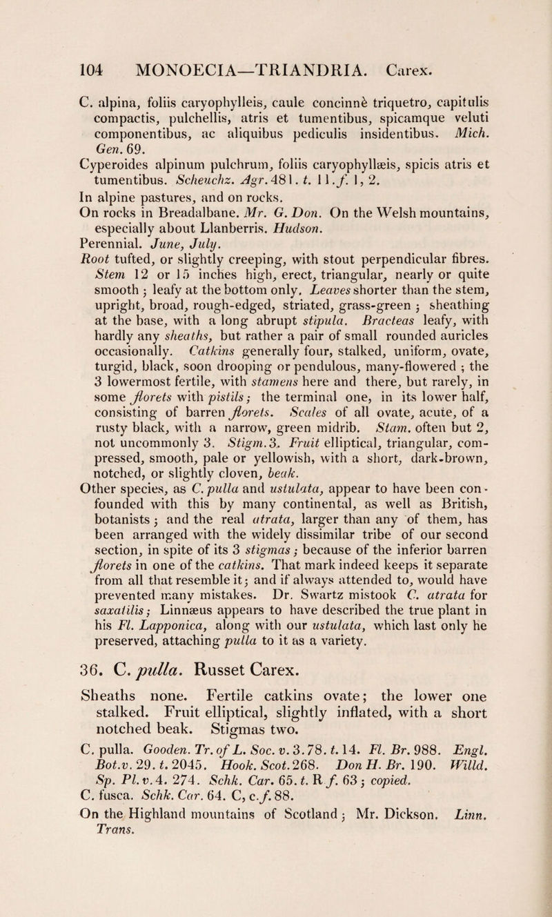 C. alpina, foliis caryophylleis, caule concinn^ triquetro, capitulis compactis, pulchellis, atris et tumentibus, spicamque veluti eomponentibus, ac aliquibus pediculis insidentibus. Mich. Gen. 69. Cyperoides alpinum pulchrum, foliis caryophyllseis, spicis atris et tumentibus. Scheuchz. Agr. 481. t. 11./. 1,2. In alpine pastures, and on rocks. On rocks in Breaclalbane. Mr. G.Don. On the Welsh mountains, especially about Llanberris. Hudson. Perennial. June, July. Root tufted, or slightly creeping, with stout perpendicular fibres. Stem 12 or 15 inches high, erect, triangular, nearly or quite smooth ; leafy at the bottom only. Leaves shorter than the stem, upright, broad, rough-edged, striated, grass-green ; sheathing at the base, with a long abrupt stipula. Bracteas leafy, with hardly any sheaths, but rather a pair of small rounded auricles occasionally. Catkins generally four, stalked, uniform, ovate, turgid, black, soon drooping or pendulous, many-flowered ; the 3 lowermost fertile, with stamens here and there, but rarely, in some jlorets with pistils; the terminal one, in its lower half, consisting of barren Jlorets. Scales of all ovate, acute, of a rusty black, with a narrow, green midrib. Siam, often but 2, not uncommonly 3. Stigm.3Fruit elliptical, triangular, com¬ pressed, smooth, pale or yellowish, with a short, dark-brown, notched, or slightly cloven, beak. Other species, as C. pulla and ustulata, appear to have been con - founded with this by many continental, as well as British, botanists ; and the real atrata, larger than any of them, has been arranged with the widely dissimilar tribe of our second section, in spite of its 3 stigmas; because of the inferior barren Jlorets in one of the catkins. That mark indeed keeps it separate from all that resemble it; and if always attended to, would have prevented many mistakes. Dr. Swartz mistook C. atrata for saxatilis; Linnaeus appears to have described the true plant in his FI. Lapponica, along with our ustulata, which last only he preserved, attaching pulla to it as a variety. 36. C. pulla. Russet Carex. Sheaths none. Fertile catkins ovate; the lower one stalked. Fruit elliptical, slightly inflated, with a short notched beak. Stigmas two. C. pulla. Gooden. Tr. of L. Soc. v. 3.78.1.14. FI. Br. 988. Engl. Bot.v. 29. t. 2045. Hook. Scot.268. Don H. Br. 190. Willd. Sp. Pl.v.4. 274. Schk. Car. 65. t. R f. 63; copied. C. fusca. Schk. Car. 64. C, c.f. 88. On the Highland mountains of Scotland ; Mr. Dickson. Linn. Trans.