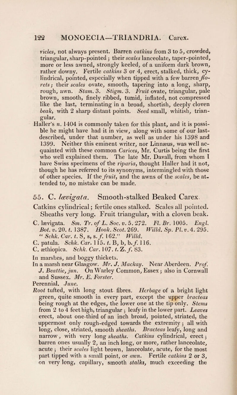 ricles, not always present. Barren catkins from 3 to 5, crowded, triangular, sharp-pointed 5 their scales lanceolate, taper-pointed, more or less awned, strongly keeled, of a uniform dark brown, rather downy. Fertile catkins 3 or 4, erect, stalked, thick, cy¬ lindrical, pointed, especially when tipped with a few barren flo¬ rets ; their scales ovate, smooth, tapering into a long, sharp, rough, awn. Stam. 3. Stigm. 3. Fruit ovate, triangular, pale brown, smooth, finely ribbed, tumid, inflated, not compressed like the last, terminating in a broad, shortish, deeply cloven beak, with 2 sharp distant points. Seed small, whitish, trian¬ gular. Haller’s n. 1404 is commonly taken for this plant, and it is possi¬ ble he might have had it in view, along with some of our last- described, under that number, as well as under his 1398 and 1399. Neither this eminent writer, nor Linnaeus, was well ac¬ quainted with these common Carices, Mr. Curtis being the first who well explained them. The late Mr, Davall, from whom I have Swiss specimens of the rip aria, thought Haller had it not, though he has referred to its synonyms, intermingled with those of other species. If the fruit, and the awns of the scales, be at¬ tended to, no mistake can be made. 55. C. laevigata. Smooth-stalked Beaked Carex. Catkins cylindrical; fertile ones stalked. Scales all pointed. Sheaths very long. Fruit triangular, with a cloven beak. C. lsevigata. Sm. Tr. of L. Soc. v. 5.272. FI. Br. 1005. Engl. Bot. v. 20. t. 1387. Hook. Scot. 269. Willd. Sp. PI. v. 4. 295. “ Schk. Car. t. S, s, s.f. 162.” Willd. C. patula. Schk. Car. 115. t. B, b, b.f 116. C. sethiopiea. Schk. Car. 107. t. Z. f. 83. In marshes, and boggy thickets. In a marsh near Glasgow. Mr. J. Mackay. Near Aberdeen. Prof. J. Beattie, jun. On Warley Common, Essex 5 also in Cornwall and Sussex. Mr. E. Forster. Perennial. June. Root tufted, with long stout fibres. Herbage of a bright light green, quite smooth in every part, except the upper bracteas being rough at the edges, the lower one at the tip only. Ste77is from 2 to 4 feet high, triangular ; leafy in the lower part. Leaves erect, about one-third of an inch broad, pointed, striated, the uppermost only rough-edged towards the extremity 5 all with long, close, striated, smooth sheaths. Bracteas leafy, long and narrow, with very long sheaths. Catkins cylindrical, erect 3 barren ones usually 2, an inch long, or more, rather lanceolate, acute j their scales light brown, lanceolate, acute, for the most part tipped with a small point, or awn. Fertile catkms 2 or 3, on very long, capillary, smooth stalks, much exceeding the