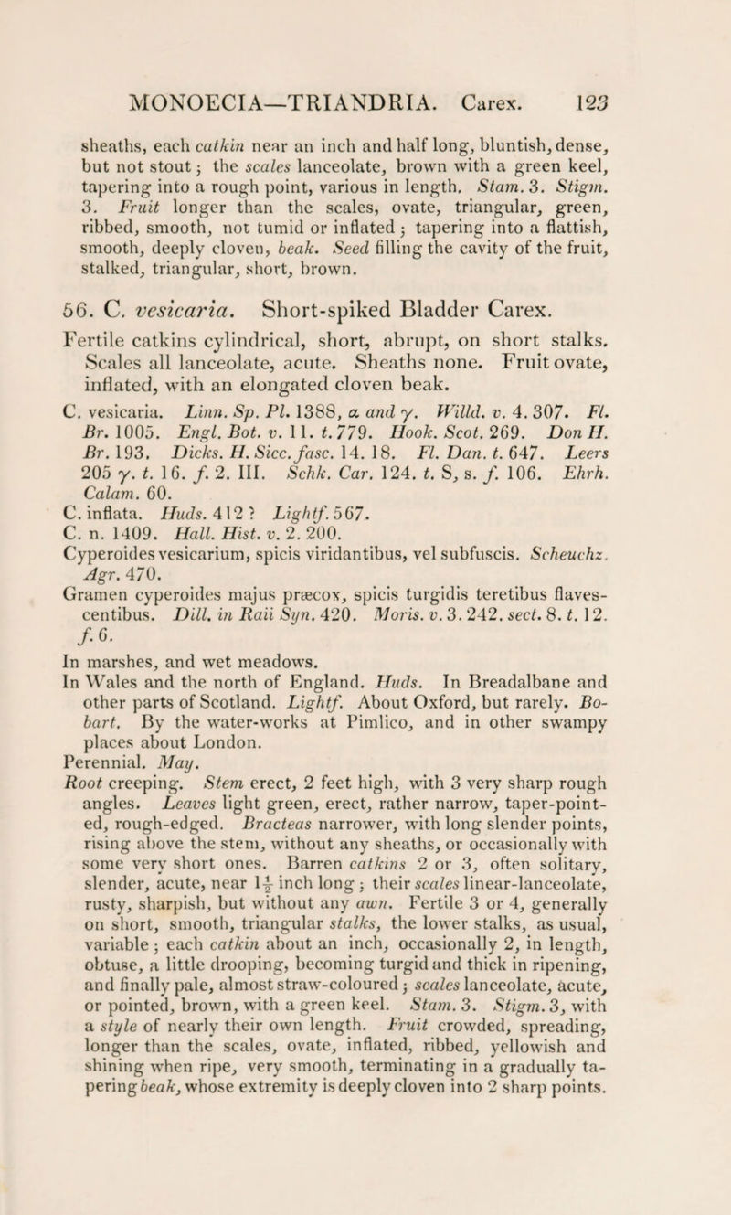 sheaths, each catkin near an inch and half long, bluntish, dense, but not stout3 the scales lanceolate, brown with a green keel, tapering into a rough point, various in length. Stam. 3. Stigm. 3. Fruit longer than the scales, ovate, triangular, green, ribbed, smooth, not tumid or inflated 3 tapering into a flattish, smooth, deeply cloven, beak. Seed filling the cavity of the fruit, stalked, triangular, short, brown. 56. C. vesicaria. Short-spiked Bladder Carex. Fertile catkins cylindrical, short, abrupt, on short stalks. Scales all lanceolate, acute. Sheaths none. Fruit ovate, inflated, with an elongated cloven beak. C. vesicaria. Linn. Sp. PI. 1388, a. and y. Willd. v. 4. 307• FI. Br. 1005. Engl. Bot. v. 11. t. 779. Hook. Scot. 269. Don H. Br. 193. Dicks. H. Sicc.fasc. 14. 18. FI. Dan. t. 647. Leers 205 y. t. 16. /. 2. III. Schk. Car. 124. t. S, s. /. 106. Ehrh. Calam. 60. C. inflata. Huds. 412? Lightf.567. C. n. 1409. Hall. Hist. v. 2. 200. Cyperoides vesicarium, spicis viridantibus, vel subfuscis. Scheuchz. Agr. 470. Gramen cyperoides majus prgecox, spicis turgidis teretibus flaves- centibus. Dill, in Raii Syn. 420. Moris, v. 3. 242. sect. 8. t. 12. /•«• In marshes, and wet meadows. In Wales and the north of England. Huds. In Breadalbane and other parts of Scotland. Lightf. About Oxford, but rarely. Bo- hart. By the water-works at Pimlico, and in other swampy places about London. Perennial. May. Root creeping. Stem erect, 2 feet high, with 3 very sharp rough angles. Leaves light green, erect, rather narrow, taper-point¬ ed, rough-edged. Bracteas narrower, with long slender points, rising above the stem, without any sheaths, or occasionally with some very short ones. Barren catkins 2 or 3, often solitary, slender, acute, near 1-|- inch long ; their scales linear-lanceolate, rusty, sharpish, but without any awn. Fertile 3 or 4, generally on short, smooth, triangular stalks, the lower stalks, as usual, variable 3 each catkin about an inch, occasionally 2, in length, obtuse, a little drooping, becoming turgid and thick in ripening, and finally pale, almost straw-coloured 3 scales lanceolate, acute, or pointed, brown, with a green keel. Stam. 3. Stigm. 3, with a style of nearly their own length. Fruit crowded, spreading, longer than the scales, ovate, inflated, ribbed, yellowish and shining when ripe, very smooth, terminating in a gradually ta¬ pering beak, whose extremity is deeply cloven into 2 sharp points.