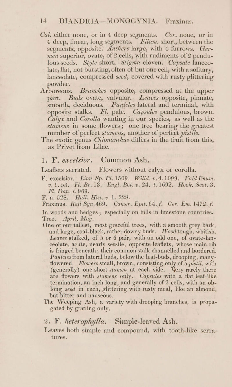 Cal. either none, or in 4 deep segments. Cor. none, or in 4 deep, linear, long segments. lam. short, between the segments, opposite. Anthers large, with 4 furrows. Ger- men superior, ovate, of 2 cells, with rudiments of 2 pendu- lous seeds. Style short. Stigma cloven. Capsule lanceo- late, flat, not bursting, often of but one cell, with a solitary, lanceolate, compressed seed, covered with rusty glittering powder. Arboreous. Branches opposite, compressed at the upper part. Buds ovate, valvular. Leaves opposite, pinnate, smooth, deciduous. Panicles lateral and terminal, with opposite stalks. 27. pale. Capsules pendulous, brown. Calyx and Corolla wanting in our species, as well as the stamens in some flowers; one tree bearing the greatest number of perfect stamens, another of perfect pzstzls. The exotic genus Chionanthus differs in the fruit from this, as Privet from Lilac. 1. F. excelsior. Common Ash. Leaflets serrated. Flowers without calyx or corolla. I. excelsior. Linn. Sp. Pl. 1509. Willd. v.4.1099. Vahl Enum. v.1.53,. Fl. Br. 13. Engl. Bot. v. 24. t. 1692. Hook. Scot. 3. Fl. Dan. ¢. 969. F.n. 528. Hail. Hist. v. 1. 228. Fraxinus. Raii Syn.469. Camer. Epit. 64. f. Ger. Em. 1472. f. In woods and hedges ; especially on hills in limestone countries. Tree. April, May. One of our tallest, most graceful trees, with a smooth grey bark, and large, coal-black, rather downy buds. Wood tough, whitish. Leaves stalked, of 5 or 6 pair, with an odd one, of ovate-lan- ceolate, acute, nearly sessile, opposite leaflets, whose main rib is fringed beneath; their common stalk channelled and bordered. Panicles from lateral buds, below the leaf-buds, drooping, many- flowered. Flowers small, brown, consisting only of a pistil, with (generally) one short siamen at each side. Very rarely there are flowers with stamens only. Capsules with a flat leaf-like termination, an inch long, and generally of 2 cells, with an ob- long seed in each, glittering with rusty meal, like an almond, but bitter and nauseous. The Weeping Ash, a variety with drooping branches, is propa- gated by grafting only. 2. F. heterophylla. Simple-leaved Ash. Leaves both simple and compound, with tooth-like serra- tures.