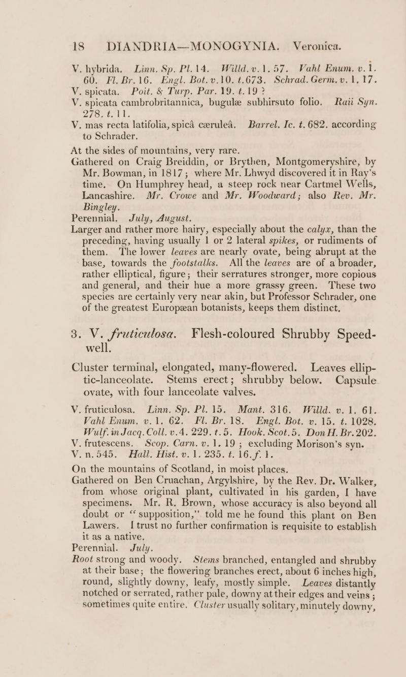 V.hybrida, Linn. Sp. Pl. 14. Willd.v.1.57. Vahl Enum. v.1. 60. Fl. Br.16. Engl. Bot.v.10. t.673. Schrad. Germ.v. 1,17. V. spicata. Poit. &amp; Turp. Par. 19. t.19 ? V. spicata cambrobritannica, bugule subhirsuto folio. Raii Syn. 2fo, tb. ti, V. mas recta latifolia, spica ceeruleé. Barrel. Ic. t. 682. according to Schrader. At the sides of mountains, very rare. Gathered on Craig Breiddin, or Brythen, Montgomeryshire, by Mr. Bowman, in 1817; where Mr. Lhwyd discovered it in Ray’s time. On Humphrey head, a steep rock near Cartmel Wells, Lancashire. Mr. Crowe and Mr. Woodward; also Rev. Mr. Bingley. Perennial. July, dugust. Larger and rather more hairy, especially about the calyx, than the preceding, having usually 1 or 2 lateral spikes, or rudiments of them. The lower leaves are nearly ovate, being abrupt at the base, towards the footstalks. All the leaves are of a broader, rather elliptical, figure; their serratures stronger, more copious and general, and their hue a more grassy green. These two species are certainly very near akin, but Professor Schrader, one of the greatest Europzan botanists, keeps them distinct. 3. V. fruticulosa. Flesh-coloured Shrubby Speed- well. Cluster terminal, elongated, many-flowered. Leaves ellip- tic-lanceolate. Stems erect; shrubby below. Capsule ovate, with four lanceolate valves. V. fruticulosa. Linn. Sp. Pl. 15. Mant. 316. Willd. v. 1. 6). Vahl Enum. v.1. 62. Fl. Br. 18. Engl. Bot. ». 15. t. 1028. Wulf. in Jacq. Coll. v.4. 229. t.5. Hook. Scot.5. Don H. Br. 202. V. frutescens. Scop. Carn. v. 1.19 ; excluding Morison’s syn. Vi u.545. “Hall, Hist. ©... 2555 316 7. ¥- On the mountains of Scotland, in moist places. Gathered on Ben Cruachan, Argylshire, by the Rev. Dr. Walker, from whose original plant, cultivated in his garden, I have specimens. Mr. R. Brown, whose accuracy is also beyond all doubt or ‘ supposition,” told me he found this plant on Ben Lawers. | trust no further confirmation is requisite to establish it as a native. Perennial. July. Root strong and woody. Stems branched, entangled and shrubby at their base; the flowering branches erect, about 6 inches high, round, slightly downy, leafy, mostly simple. Leaves distantly notched or serrated, rather pale, downy at their edges and veins ; sometimes quite entire. Cluster usually solitary, minutely downy,