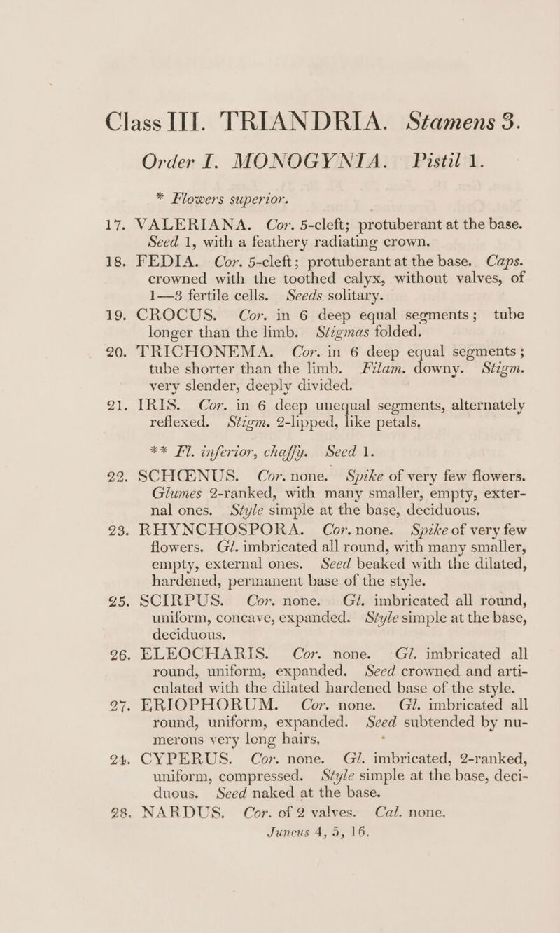 Order I. MONOGYNIA. Pistil 1. * Flowers superior. VALERIANA. Cor. 5-cleft; protuberant at the base. Seed 1, with a feathery radiating crown. FEDIA. Cor. 5-cleft; protuberant at the base. Caps. crowned with the todthed calyx, without valves, of 1—3 fertile cells. Seeds solitary. longer than the limb. Stzgmas folded. tube shorter than the limb. lam. downy. Stigm. very slender, deeply divided. reflexed. Stzgm. 2-lipped, like petals. ** Fl. inferior, chaffy. Seed 1. Glumes 2-ranked, with many smaller, empty, exter- nal ones. Style simple at the base, deciduous. RHYNCHOSPORA. Cor.none. Spzke of very few flowers. Gi. imbricated all round, with many smaller, empty, external ones. Seed beaked with the dilated, hardened, permanent base of the style. uniform, concave, expanded. Style simple at the base, deciduous. ELEOCHARIS. Cor. none. Gi. imbricated all round, uniform, expanded. Seed crowned and arti- culated with the dilated hardened base of the style. ERIOPHORUM. Cor. none. Gi. imbricated all round, uniform, expanded. aes subtended by nu- merous very leng hairs. CYPERUS. Cor. none. Gil. imbricated, 2-ranked, uniform, compressed. Sfyle simple at the base, deci- duous. Seed naked at the base. NARDUS. Cor. of 2 valves. Cal. none. Juncus 4, 9, 16,