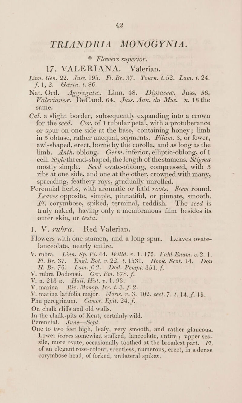 AQ TRIANDRIA MONOGYNIA. * Flowers superior. 17. VALERIANA. Valerian. Linn. Gen. 22. Juss. 195. Fl. Br. 37. Tourn. t.52. Lam. t. 24. f-1,2. Gama. i305. Nat. Ord. Aggregate. Linn. 48. Dipsacee. Juss. 56. Valerianee. DeCand. 64. Juss. Ann. du Mus. n. 18 the same. Cal. a slight border, subsequently expanding into a crown for the seed. Cor. of 1 tubular petal, with a protuberance or spur on one side at the base, containing honey; limb in 5 obtuse, rather unequal, segments. L7lam. 3, or fewer, awl-shaped, erect, borne by the corolla, and as long as the limb. Anth. oblong. Germ. inferior, elliptic-oblong, of 1 cell. Style thread-shaped, the length of the stamens. Stigma mostly simple. Seed ovate-oblong, compressed, with 3 ribs at one side, and one at the other, crowned with many, spreading, feathery rays, gradually unrolled. Perennial herbs, with aromatic or fetid roots. Stem round. Leaves opposite, simple, pinnatifid, or pinnate, smooth. Fl. corymbose, spiked, terminal, reddish. ‘The seed is truly naked, haying only a membranous film besides its outer skin, or festa. 1. V. vuhra. Red Valerian. Flowers with one stamen, and a long spur. Leaves ovate- lanceolate, nearly entire. V. rubra. Linn. Sp. Pl. 44. Willd. v. 1.175. Vahl Enum. v. 2. 1. Fl. Br. 37. . Engl. Bot. v.22. %.1531,. Hook, Scot. 14. Don H. Br. 76... Lam. f.2. Dod. Pempt. 351. f. V. rubra Dodonei. Ger. Em. 678. f. Via, 243ce.. (Holl. Histo aos: V. marina. Riv. Monop. Irr. t. 3. f. 2. V. marina latifolia major. Moris. v. 3. 102. sect. 7. t. 14. f. 15. Phu peregrinum. Camer. Epit. 24. f. On chalk cliffs and old walls. In the chalk-pits of Kent, certainly wild. Perennial. June—Sept. One to two feet high, leafy, very smooth, and rather glaucous. Lower leaves somewhat stalked, lanceolate, entire ; upper ses- sile, more ovate, occasionally toothed at the broadest part. Fl. of an elegant rose-colour, scentless, numerous, erect, in a dense corymbose head, of forked, unilateral spikes.