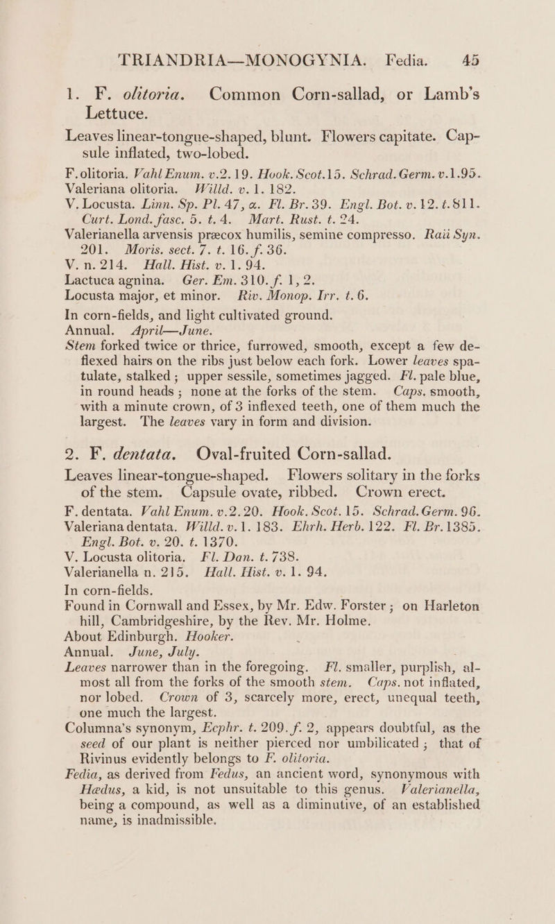 1. F. oftorta. Common Corn-sallad, or Lamb’s Lettuce. Leaves linear-tongue-shaped, blunt. Flowers capitate. Cap- sule inflated, two-lobed. F, olitoria. Vahl Enum. v.2.19. Hook. Scot.15. Schrad. Germ. v.1.95. Valeriana olitoria. Willd. v. 1.182. V. Locusta. Linn. Sp. Pl. 47, a. Fl. Br.39. Engl. Bot. v.12.¢.811. Curt. Lond. fasc. 5. t.4. Mart. Rust. t. 24. Valerianella arvensis preecox humilis, semine compresso. Rai Sy. 201. “Moris..sect. 7. t. WO, f.36. V.n.214. Hall. Mist. v. 1. 94. Lactucaagnina. Ger. Em. 310. f. 1, 2. Locusta major, et minor. Riv. Monop. Irr. t. 6. In corn-fields, and light cultivated ground. Annual. &lt;April—June. Stem forked twice or thrice, furrowed, smooth, except a few de- fiexed hairs on the ribs just below each fork. Lower leaves spa- tulate, stalked ; upper sessile, sometimes jagged. Fl. pale blue, in round heads ; none at the forks of the stem. Caps, smooth, with a minute crown, of 3 inflexed teeth, one of them much the largest. The leaves vary in form and division. 2. F. dentata. Oval-fruited Corn-sallad. Leaves linear-tongue-shaped. Flowers solitary in the forks of the stem. Capsule ovate, ribbed. Crown erect. F. dentata. Vahl Enum. v.2.20. Hook. Scot.15. Schrad. Germ. 96. Valerianadentata. Willd. v.1.183. Ehrh. Herb. 122. Fl. Br.1385. Engl. Bot. v. 20. t. 1370. V. Locusta olitoria. Fl. Dan. t.738. Valerianella n. 215. Hall. Hist. v. 1. 94. In corn-fields. . Found in Cornwall and Essex, by Mr. Edw. Forster; on Harleton hill, Cambridgeshire, by the Rev. Mr. Holme. About Edinburgh. Hooker. Annual. June, July. Leaves narrower than in the foregoing. Fl. smaller, purplish, al- most all from the forks of the smooth stem. Caps. not inflated, nor lobed. Crown of 3, scarcely more, erect, unequal teeth, one much the largest. Columna’s synonym, Ecphr. t. 209. f. 2, appears doubtful, as the seed of our plant is neither pierced nor umbilicated ; that of Rivinus evidently belongs to F. olitoria. Fedia, as derived from Fedus, an ancient word, synonymous with Hedus, a kid, is not unsuitable to this genus. Valerianella, being a compound, as well as a diminutive, of an established name, is inadmissible. |