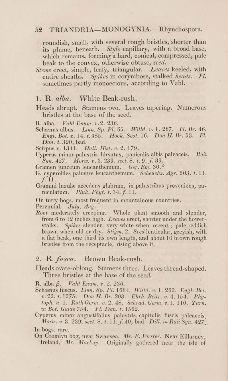 roundish, small, with several rough bristles, shorter than its glume, beneath. Style capillary, with a broad base, which remains, forming a hard, conical, compressed, pale beak to the convex, otherwise obtuse, sced. Stems erect, simple, leafy, triangular. Leaves keeled, with entire sheaths. Spikes in corymbose, stalked heads. £1. sometimes partly monoecious, according to Vahl. 1. R. ala. White Beak-rush. Heads abrupt. Stamens two. Leaves tapering. Numerous bristles at the base of the seed. R. alba. Vahl Enum. v.2. 236. Scheenus albus. Linn. Sp. Pl. 65. Willd. v.1. 267. Fl. Br. 46. Engl. Bot..v. 14. t.985. Hook. Scot. 16. Don H. Br. 53. Fil. Dan. t. 320, bad. Scirpus n. 1341. Hall. Hist. v. 2. 179. Cyperus minor palustris hirsutus, paniculis albis paleaceis. Raii Syn. 427. Moris. v. 3,239. sect. 8. t.9. f. 39. Gramen junceum leucanthemum. Ger. Em. 30.* G. cyperoides palustre leucanthemum. Scheuchz. Agr. 503. t. 11. Sais Gramini luzule accedens glabrum, in palustribus proveniens, pa- niculatum. Pluk. Phyt. t.34. f. 11. On turfy bogs, most frequent in mountainous countries. Perennial, July, Aug. Root moderately creeping. Whole plant smooth and slender, from 6 to 12 inches high. Leaves erect, shorter under the flower- stalks. Spikes slender, very white when recent ; pale reddish brown when old or dry. Stigm. 2. Seed lenticular, greyish, with a flat beak, one third its own length, and about 10 brown rough bristles from the receptacle, rising above it. 2. R. fusca. Brown Beak-rush. Heads ovate-oblong. Stamens three. Leaves thread-shaped. Three bristles at the base of the seed. R. alba 6B. Vahl Enum. v. 2. 236. Scheenus fuscus. Linn. Sp. Pl. 1664. Willd. v.1. 262. Engl. Bot. v.22. t.1575. Don H. Br. 203. Enhrh. Beitr. v. 4.154... Phy- toph.n. 1. Roth Germ. v. 2. 48. Schrad. Germ. v.1. 110. Turn. in Bot. Guide 754. Fl. Dan. t. 1562. Cyperus minor angustifolius palustris, capitulis fuscis paleaceis. Moris. v.3. 239. sect. 8. t. 11. f.40, bad. Dill. in Rati Syn. 427, In bogs, rare. On Cromlyn bog, near Swansea. Mr. E. Forster. Near Killarney, Ireland, Mr. Mackay. Originally gathered near the isle of