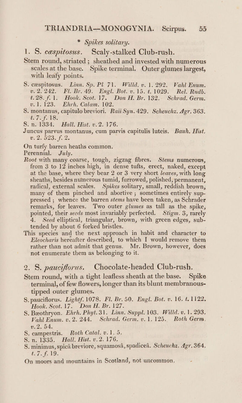 * Sptkes solitary. 1. S. cespitosus. Scaly-stalked Club-rush. Stem round, striated ; sheathed and invested with numerous scales at the base. Spike terminal. Outer glumes largest, with leafy points. S. cespitosus. Linn. Sp. Pl 71. Willd. v. 1. 292. Vahl Enum. v. 2.242. Fl. Br. 49. Engl. Bot. v.15. ¢.1029. Rel. Rudb. t.28. f.1. Hook. Scot. 17. Don H. Br. 132. Schrad. Germ. vo. 1). 123. » Ehrh. €atam. 102: S. montanus, capitulo breviori. Rati Syn. 429. Scheuchz. Agr. 363. EST. VS. S. n. 1334. Hall. Hist. v. 2.176. Juncus parvus montanus, cum parvis capitulis luteis. Bauh. Hist, v. 2. 523. f. 2. On turfy barren heaths common. Perennial. July. _ Root with many coarse, tough, zigzag fibres. Stems numerous, from 3 to 12 inches high, in dense tufts, erect, naked, except at the base, where they bear 2 or 3 very short leaves, with long sheaths, besides numerous tumid, furrowed, polished, permanent, radical, external scales. Spikes solitary, small, reddish brown, many of them pinched and abortive ; sometimes entirely sup- pressed ; whence the barren stems have been taken, as Schrader remarks, for leaves. Two outer glumes as tall as the spike, pointed, their seeds most invariably perfected. Stigm. 3, rarely 4. Seed elliptical, triangular, brown, with green edges, sub- tended by about 6 forked bristles. This species and the next approach in habit and character to Eleocharis hereafter described, to which I would remove them rather than not admit that genus. Mr. Brown, however, does not enumerate them as belonging to it. 2. S. pauciflorus. Chocolate-headed Club-rush. Stem round, with a tight leafless sheath at the base. Spike terminal, of few flowers, longer than its blunt membranous- tipped outer glumes. S. pauciflorus. Lightf.1078. Fl. Br. 50. Engl. Bot. v. 16. t. 1122. Hook. Scot.17. Don H. Br. 127. S. Beothryon. Ehrh. Phyt.31. Linn. Suppl. 103. Willd. v, 1. 293. Vahl Enum. v. 2. 244. Schrad. Germ. v. 1.125. Roth Germ, 9.2, 94. S. campestris. Roth Catal. v.1. 5. S.n. 1335. Hall. Hist. v.2. 176. S. minimus, spica breviore, squamosa, spadicea. Scheuchz, 4gr. 364. (7.6. 19. On moors and mountains in Scotland, not uncommon, -