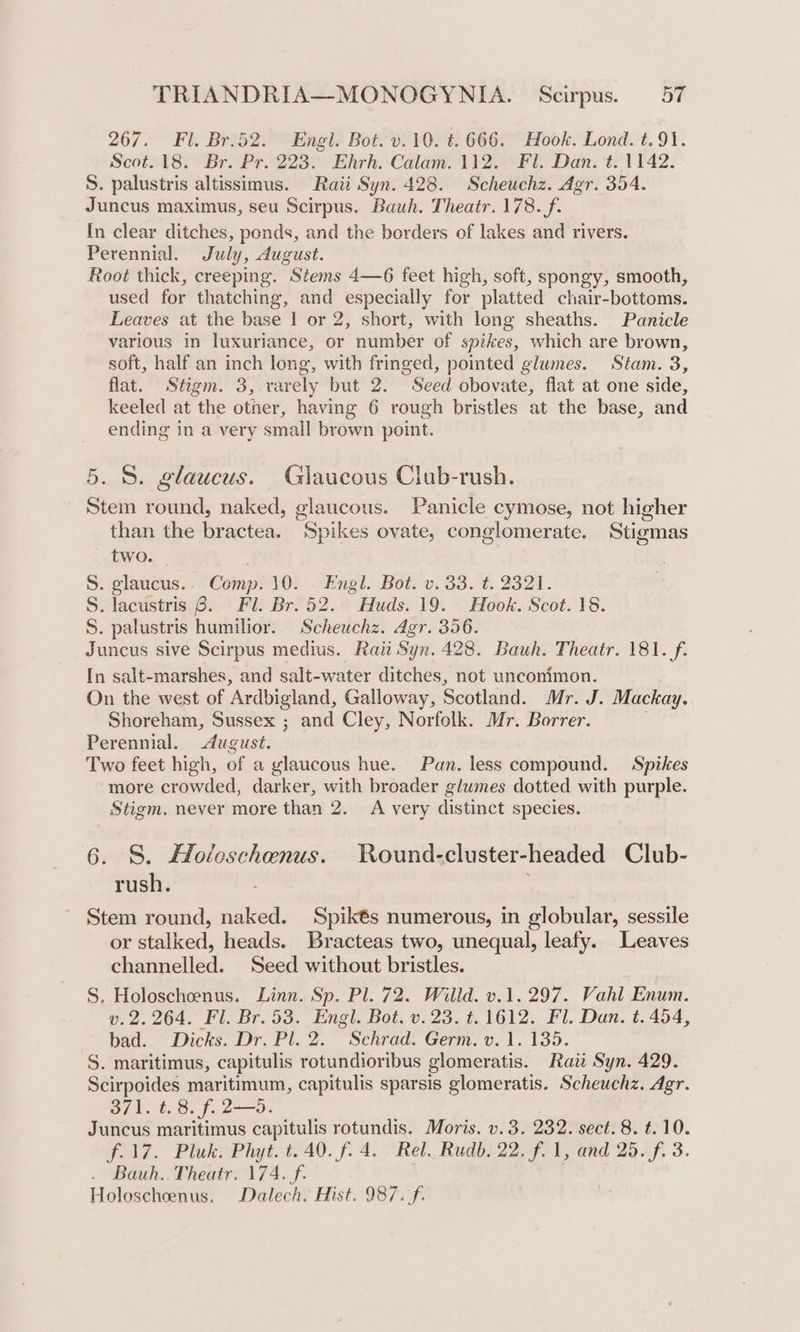 267. Fl. Br.52. Engl. Bot. v.10. t. 666. Hook. Lond. t.91. Scot. 18. Br. Pr. 223. Ehrh. Calam. 112. Fl. Dan. t. 1142. S. palustris altissimus. Raii Syn. 428. Scheuchz. Agr. 354. Juncus maximus, seu Scirpus. Bauh. Theatr. 178. f. In clear ditches, ponds, and the borders of lakes and rivers. Perennial. July, August. Root thick, creeping. Stems 4—6 feet high, soft, spongy, smooth, used for thatching, and especially for platted chair-bottoms. Leaves at the base 1 or 2, short, with long sheaths. Panicle various in luxuriance, or number of spikes, which are brown, soft, half an inch long, with fringed, pointed glumes. Stam. 3, flat. Stigm. 3, rarely but 2. Seed obovate, flat at one side, keeled at the otner, having 6 rough bristles at the base, and ending in a very small brown point. 5. 8. glaucus. Glaucous Club-rush. Stem round, naked, glaucous. Panicle cymose, not higher than the bractea. Spikes ovate, conglomerate. Stigmas two. S. glaucus.- Comp. 10. Engl. Bot. v. 33. t. 2321. S. lacustris 8. Fl. Br. 52. Huds. 19. Hook. Scot. 18. S. palustris humilior. Scheuchz. Agr. 356. Juncus sive Scirpus medius. Rai Syn. 428. Bauh. Theatr. 181. f. In salt-marshes, and salt-water ditches, not unconimon. On the west of Ardbigland, Galloway, Scotland. Mr. J. Mackay. Shoreham, Sussex ; and Cley, Norfolk. Mr. Borrer. Perennial. dugust. Two feet high, of a ylaucous hue. Pan. less compound. Spikes more crowded, darker, with broader glumes dotted with purple. Stigm. never more than 2. A very distinct species. 6. S. Holeschenus. WRound-cluster-headed Club- rush. ' Stem round, naked. Spik€és numerous, in globular, sessile or stalked, heads. Bracteas two, unequal, leafy. Leaves channelled. Seed without bristles. S. Holoschoenus. Linn. Sp. Pl. 72. Willd. v.1.297. Vahl Enum. v. 2.264. Fl. Br. 53. Engl. Bot, v.23. t. 1612. Fl. Dan. t. 454, bad... Dicks. Dr. Pl. 2.” Schrad. Germ. 0.1. 135. S. maritimus, capitulis rotundioribus glomeratis. Raw Syn. 429. Scirpoides maritimum, capitulis sparsis glomeratis. Scheuchz. Agr. 3/1. t. 8. f. 2-—5. Juncus maritimus capitulis rotundis. Moris. v.3. 232. sect. 8. t. 10. f.17. Pluk. Phyt. t.40. f. 4. Rel. Rudb. 22. f. 1, and 25. f. 3. Bauh.. Theatr. 174. f. Holoscheenus. Dalech. Hist. 987. f.