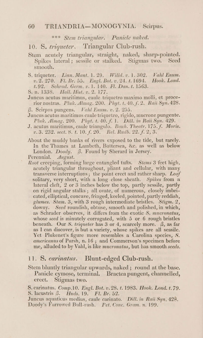 *** Stem triangular. Panicle naked. 10. S. ¢trégueter. ‘Triangular Club-rush. Stem acutely triangular, straight, naked, sharp-pointed. Spikes lateral; sessile or stalked. Stigmas two. Seed smooth. S. triqueter. Linn. Mant. 1.29. Willd. v.1.302. Vahl Enum. v.2.270. Fl. Br. 55. Engl. Bot. v.24. t. 1694. Hook. Lond. t.92. Schrad. Germ. v.1. 140. Fl. Dan. t. 1563. S.n. 1338. Hall. Hist. v. 2. 177. Juncus acutus maritimus, caule triquetro maximo molli, et proce- rior nostras. Pluk. Almag. 200. Phyt. t. 40. f. 2. Raii Syn. 428. 6. Scirpus pungens. Vahl Enum. v. 2. 255. Juncus acutus maritimus caule triquetro, rigido, mucrone pungente. Pluk. Almag. 200. Phyt. t. 40. f. 1. Dill. in Ravi Syn. 429. J. acutus maritimus, caule triangulo. Bauh. Theatr. 175. f. Moris. v.3. 202. sect. 8. t. 10. f. 20. °- Rel. Rudd. 22. f. 25.0. About the muddy banks of rivers exposed to the tide, but rarely. In the Thames at Lambeth, Battersea, &amp;c. as well as below London. Doody. 8. Found by Sherard in Jersey. Perennial. August. Root creeping, forming large entangled tufts. Stems 3 feet high, acutely triangular throughout, pliant and cellular, with many transverse interruptions; the point erect and rather sharp. Leaf solitary, very short, with a long close sheath. Spikes from a lateral cleft, 2 or 3 inches below the top, partly sessile, partly on rigid angular stalks ; all ovate, of numerous, closely imbri- cated, elliptical, concave, fringed, keeled, pointed, partly reddish, glumes. Stam. 3, with 3 rough intermediate bristles. Stigm. 2, downy. Seed roundish, obtuse, smooth and polished, in which, as Schrader observes, it differs from the exotic S. mucronatus, whose seed is minutely corrugated, with 5 or 6 rough bristles beneath. Our S, triqueter has 3 or 4, scarcely more. £8, as far as I can discover, is but a variety, whose spikes are all sessile. Yet Plukenet’s figure more resembles a Carolina species, S. americanus of Pursh, n. 16 ; and Commerson’s specimen before me, alluded to by Vahl, is like mucronatus, but has smooth seeds. 11. S. carinatus. Blunt-edged Club-rush. Stem bluntly triangular upwards, naked ; round at the base. Panicle cymose, terminal. Bractea pungent, channelled, erect. Stigmas two. S.carinatus. Comp.10. Engl. Bot. v.28. t. 1983. Hook. Lond. t.79. S. lacustris 6. Huds.19. Fl. Br. 52. Juncus aquaticus medius, caule carinato. Dill. in Rati Syn, 428. Doody’s Furrowed Bull-rush. Pet, Conc. Gram. n. 199.