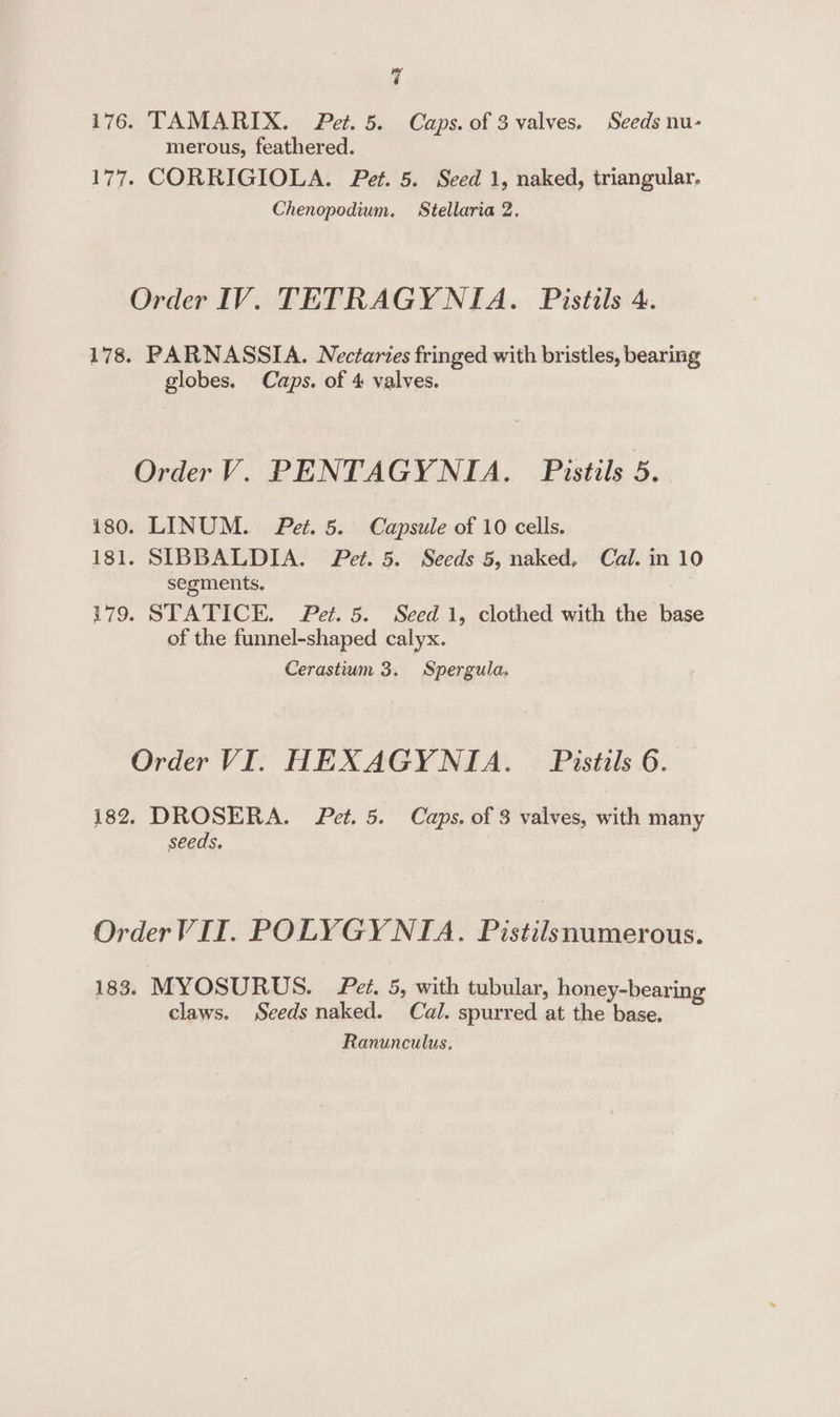 176. TAMARIX. Pet. 5. Caps. of 3 valves. Seeds nu- merous, feathered. 177. CORRIGIOLA. Pet. 5. Seed 1, naked, triangular. Chenopodium. Stellaria 2. Order IV. TETRAGYNIA. Pistals 4. 178. PARNASSIA. Nectaries fringed with bristles, bearing globes. Caps. of 4 valves. Order V. PENTAGYNIA. Pistils 5. 180. LINUM. Pet. 5. Capsule of 10 cells. 181. SIBBALDIA. Pet. 5. Seeds 5, naked, Cal. in 10 segments, 179. STATICE. Pet. 5. Seed 1, clothed with the base of the funnel-shaped calyx. Cerastium 3. Spergula. Order VI. HEXAGYNIA. Pistils 6. 182. DROSERA. Pet. 5. Caps. of 3 valves, with many seeds. Order VII. POLYGYNIA. Pistilsnumerous. 183. MYOSURUS. et. 5, with tubular, honey-bearing claws. Seeds naked. Cal. spurred at the base. Ranunculus.