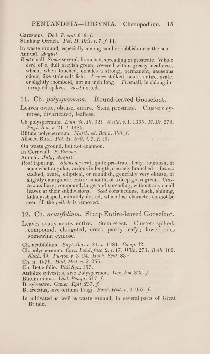 Garosmus. Dod. Pempt. 616. f. Stinking Orrach. Pet. H. Brit. t.7.f. 11. In waste ground, especially among sand or rubbish near the sea. Annual. dugust. Root small. Stems several, branched, spreading or prostrate. Whole herb of a dull greyish green, covered with a greasy mealiness, which, when touched, exhales a strong, permanent, nauseous odour, like stale salt-fish. Leaves stalked, acute, entire, ovate, or slightly rhomboid, not an inch long. Fl. small, in oblong in- terrupted spikes. Seed dotted. 11. Ch. polyspermum. Round-leaved Goosefoot. Leaves ovate, obtuse, entire. Stem prostrate. Clusters cy- mose, divaricated, leafless. Ch. polyspermum. Linn. Sp. Pl. 321. Willd. v.1. 1305. Fl. Br. 278. Engl. Bot. v. 21. t. 1480. Blitum polyspermum. Matth. ed. Bauh. 358. f. Allseed Blite. Pet. HW. Brit. t.7.f.10. On waste ground, but not common. In Cornwall. F. Borone. Annual. July, August. Root tapering. Stems several, quite prostrate, leafy, roundish, or somewhat angular, various in length, scarcely branched. Leaves stalked, ovate, elliptical, or roundish, generally very obtuse, or slightly emarginate, entire, smooth, of adeep grass green. Clus- ters axillary, compound, large and spreading, without any small leaves at their subdivisions. Seed conspicuous, black, shining, kidney-shaped, minutely dotted, which last character cannot be seen till the pellicle is removed. 12. Ch. acutefoltum. Sharp Entire-leaved Goosefoot. Leaves ovate, acute, entire. Stem erect. Clusters spiked, .compound, elongated, erect, partly leafy; lower ones somewhat cymose. Ch. acutifolium. Engl. Bot. v.21. t. 1481. Comp. 42. Ch. polyspermum. Curt. Lond. fase. 2. t.17. With. 273. Reth. 102. Sibth. 89. Purton v. 3.24. Hook, Scot. 83? Ch. n. 1576. Hall, Hist. v. 2. 266. Ch. Bete folio. Rati Syn. 157. Atriplex sylvestris, sive Polyspermon. Ger. Ei. 320. f. Blitum minus. Dod. Pempt. 617. f. B. sylvestre. Camer. Epit. 237. f. B. erectius, sive tertium Tragi. Bauh. Hist. v. 2. 967. f. In cultivated as well as waste ground, in several parts of Great Britain. ,