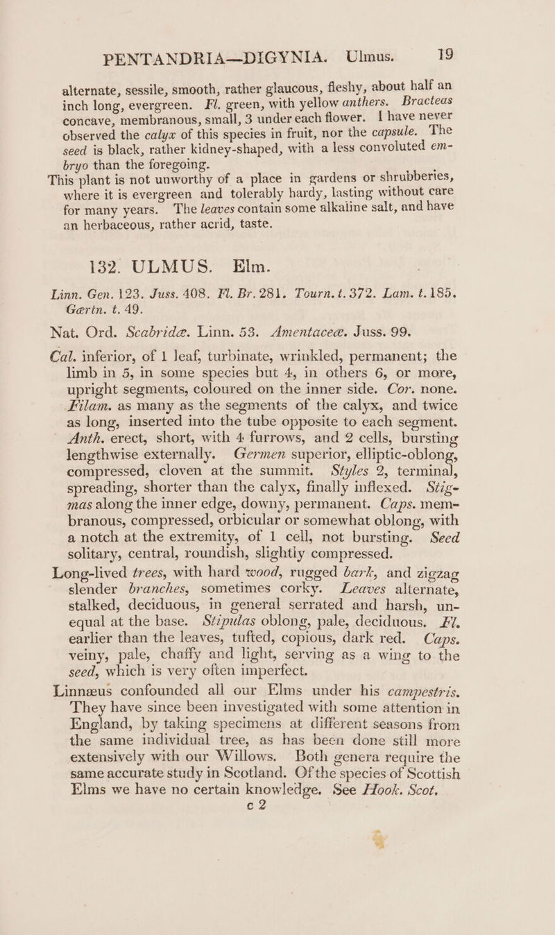 alternate, sessile, smooth, rather glaucous, fleshy, about half an inch long, evergreen. Fl. green, with yellow anthers. Bracteas concave, membranous, small, 3 under each flower. { have never observed the calyx of this species in fruit, nor the capsule. The seed is black, rather kidney-shaped, with a less convoluted em- bryo than the foregoing. ; This plant is not unworthy of a place in gardens or shrubberies, where it is evergreen and tolerably hardy, lasting without care for many years. The leaves contain some alkaline salt, and have an herbaceous, rather acrid, taste. 132. ULMUS. Elm. Linn. Gen. 123. Juss. 408. Fl. Br. 281. Tourn. t.372. Lam. t.185. Gerin. t. 49. Nat. Ord. Scabride. Linn. 53. Amentacee. Juss. 99. Cal. inferior, of 1 leaf, turbinate, wrinkled, permanent; the limb in 5, in some species but 4, in others 6, or more, upright segments, coloured on the inner side. Cor. none. Filam. as many as the segments of the calyx, and twice as long, inserted into the tube opposite to each segment. ~ Anth. erect, short, with 4 furrows, and 2 cells, bursting lengthwise externally. Germen superior, elliptic-oblong, compressed, cloven at the summit. Styles 2, terminal, spreading, shorter than the calyx, finally inflexed. Stig- mas along the inner edge, downy, permanent. Caps. mem~ branous, compressed, orbicular or somewhat oblong, with a notch at the extremity, of 1 cell, not bursting. Seed solitary, central, roundish, slightly compressed. Long-lived trees, with hard wood, rugged bark, and zigzag slender branches, sometimes corky. Leaves alternate, stalked, deciduous, in general serrated and harsh, un- equal at the base. Szzpulas oblong, pale, deciduous. FY. earlier than the leaves, tufted, copious, dark red. Caps. veiny, pale, chaffy and light, serving as a wing to the seed, which is very often imperfect. Linnzus confounded all our Elms under his campestris. They have since been investigated with some attention in England, by taking specimens at different seasons from the same individual tree, as has been done still more extensively with our Willows. Both genera require the same accurate study in Scotland. Ofthe species of Scottish Elms we have no certain knowledge. See Hook. Scot. c2 ; cad *