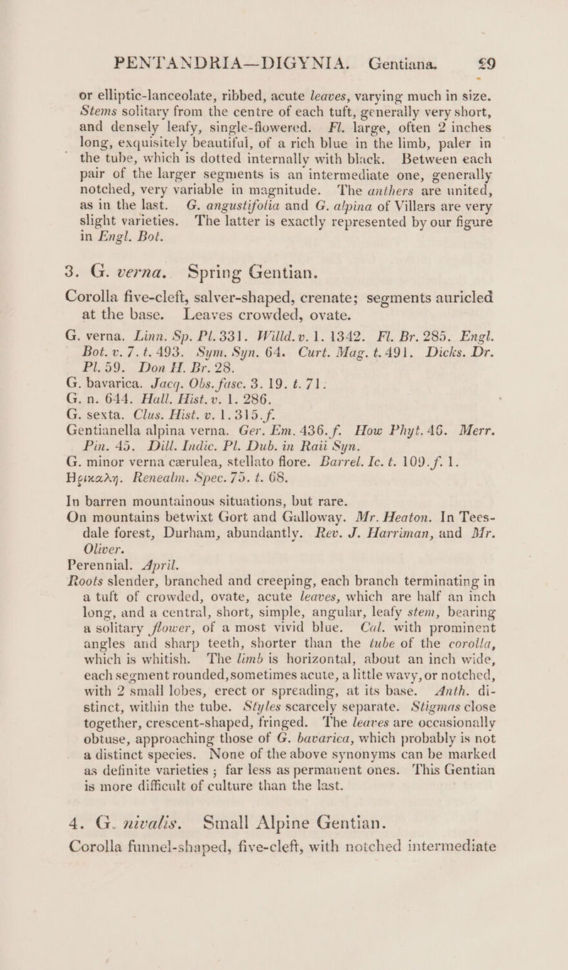 or elliptic-lanceolate, ribbed, acute leaves, varying much in size. Stems solitary from the centre of each tuft, generally very short, and densely leafy, single-flowered. Fl. large, often 2 inches long, exquisitely beautiful, of a rich blue in the limb, paler in the tube, which is dotted internally with black. Between each pair of the larger segments is an intermediate one, generally notched, very variable in magnitude. The anthers are united, as in the last. G. angustifolia and G. alpina of Villars are very slight varieties. The latter is exactly represented by our figure in Engl. Bot. 3. G. verna.. Spring Gentian. Corolla five-cleft, salver-shaped, crenate; segments auricled at the base. Leaves crowded, ovate. G. verna. Linn. Sp. Pl.331. Willd.v. 1.1342. Fl. Br. 285. Engl. Bot. v.7.t. 493. Sym. Syn. 64. Curt. Mag. t.491. Dicks. Dr. Biso9 5. Don HH, Bro28. G. bavarica. Jacq. Obs. fuse. 3.19. t.71: G.n. 644. Hall. Hist.v. 1. 286. G. sexta. Clus: Hist. ol. 315. £. Gentianella alpina verna. Ger. Em. 436. f. How Phyt.46. Merr. Pin. 45. Dill. Indic. Pl. Dub. in Rai Syn. G. minor verna cerulea, stellato flore. Barrel. Ic. t. 109. f. 1. Heinaay. Renealm. Spec. 70. t. 68. In barren mountainous situations, but rare. On mountains betwixt Gort and Galloway. Mr. Heaton. In Tees- dale forest, Durham, abundantly. Rev. J. Harriman, and Mr. Oliver. Perennial. April. Roots slender, branched and creeping, each branch terminating in a tuft of crowded, ovate, acute leaves, which are half an inch long, and a central, short, simple, angular, leafy stem, bearing a solitary flower, of a most vivid blue. Cal. with prominent angles and sharp teeth, shorter than the ¢éube of the coroila, which is whitish. The limd is horizontal, about an inch wide, each segment rounded, sometimes acute, a little wavy, or notched, with 2 small lobes, erect or spreading, at its base. Anth. di- stinct, within the tube. Styles scarcely separate. Stigmas close together, crescent-shaped, fringed. The leaves are occasionally obtuse, approaching those of G. bavarica, which probably is not a distinct species. None of the above synonyms can be marked as definite varieties ; far less as permauent ones. This Gentian is more difficult of culture than the last. 4. G. nivalis. Small Alpine Gentian. Corolla funnel-shaped, five-cleft, with notched intermediate