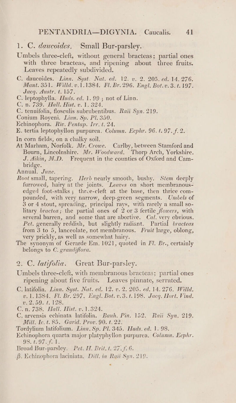 1. C. daucoides, Small Bur-parsley. Umbels three-cleft, without general bracteas; partial ones with three bracteas, and ripening about three fruits. Leaves repeatedly subdivided. C. daucoides. Linn. Syst. Nat. ed. 12. v. 2. 205. ed. 14. 276. Mant. 351. Willd.v.1.1384. Fl. Br. 296. Engl. Bot.v. 3. t. 197. Jdeq. Austr: t¥57. C. leptophylla. Huds. ed. 1.99 ; not of Linn. C.n. 739. Hall. Hist. v. 1, 324. C. tenuifolia, flosculis subrubentibus. Raii Syn. 219. Conium Royeni. Linn. Sp. Pl. 350. Echinophora. Riv. Pentap. Irr. t. 24. E. tertia leptophyllon purpurea. Column. Ecphr. 96. t. 97. f. 2. In corn fields, on a chalky soil. At Marham, Norfolk. Mr. Crowe. Carlby, between Stamford and Bourn, Lincolnshire. Mr. Woodward. Thorp Arch, Yorkshire. J. Aikin, M.D. Frequent in the counties of Oxford and Cam- bridge. Annual. June. Root small, tapering. Herb nearly smooth, bushy. Stem deeply furrowed, hairy at the joints. Leaves on short membranous- edged foot-stalks ; three-cleft at the base, then thrice com- pounded, with very narrow, deep-green segments. Umbels of 3 or 4 stout, spreading, principal rays, with rarely a small so- litary bractea; the partial ones of 2 or 3 fertile flowers, with several barren, and some that are abortive. Cal. very obvious. Pet. generally reddish, but slightly radiant. Partial bracteas from 3 to 5, lanceolate, not membranous. Fruié large, oblong, very prickly, as well as somewhat hairy. The synonym of Gerarde Em. 1021, quoted in Fl. Br. ce), belongs to C. grandiflora. 2. C. latifolia. Great Bur-parsley. Umbels three-cleft, with membranous bracteas; partial ones ripening about five fruits. ke pinnate, serrated. C. latifolia. Linn. Syst. Nat. ed. 12. v. 2. 205. ed. 14.276. Willd. #11384. PL Br.297, Engl. Bot. v: s t.198. Jacq. Hort. Vind. Wei me ial 0% Cri fos. Hall. Histo: 324. C. arvensis echinata latifolia. Bauh. Pin. 152. Raii Syn. 219. Mille. t. $3. Garids Pow. 90. 622° Tordylium latifolium. Linn. Sp. Pl. 345. Huds. ed. 1. 98. Echinophora quarta major platyphyllon purpurea. Column. Ecphr. 98) 107 ar: Broad Bur-parsley. Pet. H. Brit. t. 27. f. 6. 6. Echinophora laciniata, Dill, in Raii Syn. 219. *