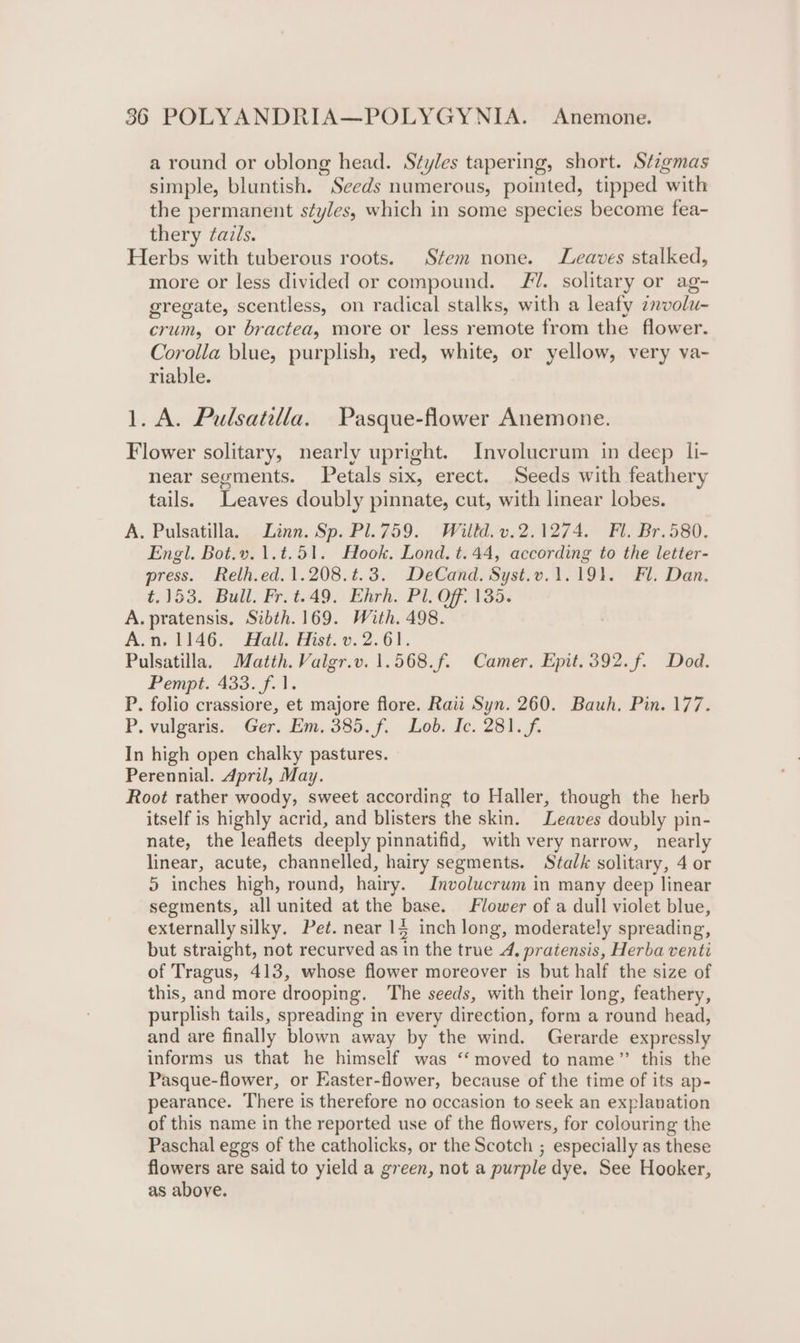 a round or oblong head. Styles tapering, short. Stzgmas simple, bluntish. Seeds numerous, pointed, tipped with the permanent styles, which in some species become fea- thery fazls. Herbs with tuberous roots. Stem none. Leaves stalked, more or less divided or compound. 7. solitary or ag- gregate, scentless, on radical stalks, with a leafy zvolu- crum, or bractea, more or less remote from the flower. Corolla blue, purplish, red, white, or yellow, very va- riable. 1. A. Pulsatilla. Pasque-flower Anemone. Flower solitary, nearly upright. Involucrum in deep li- near segments. Petals six, erect. Seeds with feathery tails. Leaves doubly pinnate, cut, with linear lobes. A. Pulsatilla. Linn. Sp. Pl.759. Willd. v.2.1274. Fl. Br.580. Engl. Bot.v.1.t.51. Hook. Lond. t.44, according to the letter- press. Relh.ed.1.208.¢.3. DeCand. Syst.v.1.191. Fl. Dan. t.153. Bull. Fr. t.49. Ehrh. Pl. Off. 135. A. pratensis. Sibth. 169. With. 498. A.n, 1146. Hall. Hist. v. 2.61. Pulsatilla. Matth. Valgr.v. 1.568.f. Camer, Epit.392.f. Dod. Pempt..433. f.1. P. folio crassiore, et majore flore. Raii Syn. 260. Bauh. Pin. 177. P. vulgaris. Ger. Em. 385. f. Lob. Ic. 281. f. In high open chalky pastures. Perennial. dpril, May. Root rather woody, sweet according to Haller, though the herb itself is highly acrid, and blisters the skin. Leaves doubly pin- nate, the leaflets deeply pinnatifid, with very narrow, nearly linear, acute, channelled, hairy segments. Stalk solitary, 4 or 5 inches high, round, hairy. Involucrum in many deep linear segments, all united at the base. Flower of a dull violet blue, externally silky. Pet. near 14 inch long, moderately spreading, but straight, not recurved as in the true 4, pratensis, Herba venti of Tragus, 413, whose flower moreover is but half the size of this, and more drooping. The seeds, with their long, feathery, purplish tails, spreading in every direction, form a round head, and are finally blown away by the wind. Gerarde expressly informs us that he himself was “moved to name” this the Pasque-flower, or Easter-flower, because of the time of its ap- pearance. There is therefore no occasion to seek an explavation of this name in the reported use of the flowers, for colouring the Paschal eggs of the catholicks, or the Scotch ; especially as these flowers are said to yield a green, not a purple dye. See Hooker, as above.