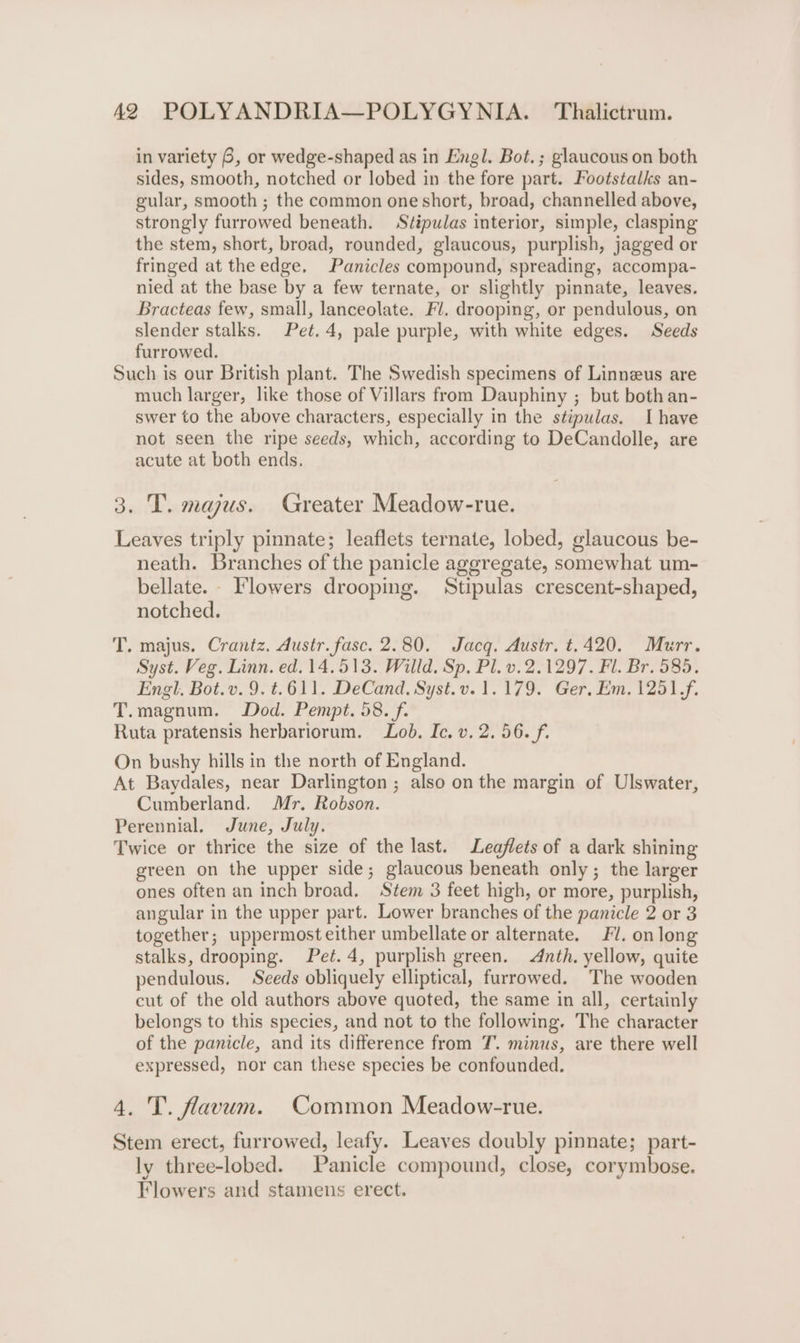 in variety 6, or wedge-shaped as in Engl. Bot. ; glaucous on both sides, smooth, notched or lobed in the fore part. Footstalks an- gular, smooth ; the common one short, broad, channelled above, strongly furrowed beneath. Stipulas interior, simple, clasping the stem, short, broad, rounded, glaucous, purplish, jagged or fringed at theedge, Panicles compound, spreading, accompa- nied at the base by a few ternate, or slightly pinnate, leaves. Bracteas few, small, lanceolate. Fl. drooping, or pendulous, on slender stalks. Pet. 4, pale purple, with white edges. Seeds furrowed. Such is our British plant. The Swedish specimens of Linneus are much larger, like those of Villars from Dauphiny ; but both an- swer to the above characters, especially in the stipulas. Ihave not seen the ripe seeds, which, according to DeCandolle, are acute at both ends. 3. T. majus. Greater Meadow-rue. Leaves triply pinnate; leaflets ternate, lobed, glaucous be- neath. Branches of the panicle aggregate, somewhat um- bellate. Flowers drooping. Stipulas crescent-shaped, notched. T. majus. Crantz. Austr. fasc. 2.80. Jacq. Austr. t.420. Murr. Syst. Veg. Linn. ed. 14.513. Willd. Sp, Pl. v. 2.1297. Fl. Br. 585. Engl, Bot.v. 9. t.611. DeCand. Syst.v. 1.179. Ger, Em, 1251,f. T.magnum. Dod. Pempt. 58. f. Ruta pratensis herbariorum. Lod. Ic. v. 2. 56./f. On bushy hills in the north of England. At Baydales, near Darlington ; also on the margin of Ulswater, Cumberland. Mr. Robson. Perennial, June, July. Twice or thrice the size of the last. Leaflets of a dark shining green on the upper side; glaucous beneath only; the larger ones often an inch broad. Stem 3 feet high, or more, purplish, angular in the upper part. Lower branches of the panicle 2 or 3 together; uppermost either umbellate or alternate. Fl. on long stalks, drooping. Pet. 4, purplish green. nth. yellow, quite pendulous. Seeds obliquely elliptical, furrowed. The wooden cut of the old authors above quoted, the same in all, certainly belongs to this species, and not to the following. The character of the panicle, and its difference from 7. minus, are there well expressed, nor can these species be confounded. 4. T. flavum. Common Meadow-rue. Stem erect, furrowed, leafy. Leaves doubly pinnate; part- ly three-lobed. Panicle compound, close, corymbose. Flowers and stamens erect.