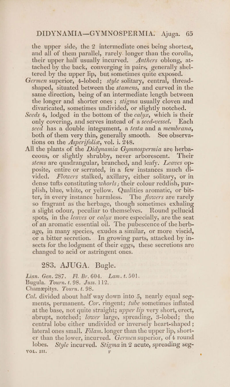 the upper side, the 2 intermediate ones being shortest, and all of them parallel, rarely. longer than the corolla, their upper half usually incurved. Anthers oblong, at- tached by the back, converging in pairs, generally shel- tered by the upper lip, but sometimes quite exposed. Germen superior, 4-lobed; style solitary, central, thread- shaped, situated between the stamens, and curved in the same direction, being of an intermediate length between the longer and shorter ones ; st7gma usually cloven and divaricated, sometimes undivided, or slightly notched. Seeds 4, lodged in the bottom of the calyx, which is their only covering, and serves instead of a sced-vessel. Each seed has a double integument, a ¢esta and a membrana, both of them very thin, generally smooth. See observa- tions on the Asperifolia, vol. i. 248. All the plants of the Didynamia Gymnospermia are herba- ceous, or slightly shrubby, never arborescent. ‘Their stems are quadrangular, branched, and leafy. Leaves op- posite, entire or serrated, in a few instances much di- vided. Flowers stalked, axillary, either solitary, or in dense tufts constituting whorls; their colour reddish, pur- plish, blue, white, or yellow. Qualities aromatic, or bit- ter, In every instance harmless. The flowers are rarely so fragrant as the herbage, though sometimes exhaling a slight odour, peculiar to themselves. Round pellucid spots, in the leaves or calyx more especially, are the seat of an aromatic essential oil. The pubescence of the herb- age, in many species, exudes a similar, or more viscid, or a bitter secretion. In growing parts, attacked by in- sects for the lodgment of their eggs, these secretions are changed to acid or astringent ones. 283. AJUGA. Bugle. Linn. Gen. 287. Fl. Br. 604. Lam. t. 501. Bugula. Tourn. t.98. Juss. 112. Chamepitys. Tourn. t. 98. Cal. divided about half way down into 5, nearly equal seg- ments, permanent. Cor. ringent; tube sometimes inflated at the base, not quite straight; upper lip very short, erect, abrupt, notched; lower large, spreading, 3-lobed; the central lobe either undivided or inversely heart-shaped ; lateral ones small. Filam. longer than the upper lip, short- er than the lower, incurved. Germen superior, of 4 round lobes. Style incurved. Stigma in 2 acute, spreading seg- VOL. Ill. 1g
