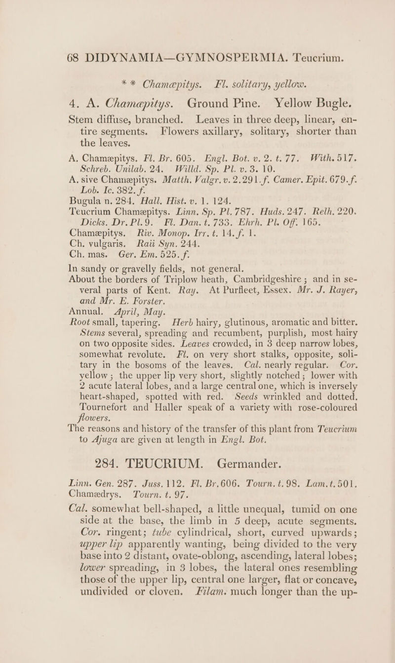 ** Chamepitys. £1. solitary, yellow. 4. A. Chamapitys. Ground Pine. Yellow Bugle. Stem diffuse, branched. Leaves in three deep, linear, en- tire segments. Flowers axillary, solitary, shorter than the leaves. A, Chamepitys. Fl. Br. 605. Engl. Bot. v.2.t.77. With. 517. Schreb. Unilab. 24. Willd. Sp. Pl. v. 3. 10. A. sive Chamepitys. Matth. Valgr.v.2.291.f. Camer. Epit. 679.f. Lob. Ic. 382. f. Bugula n. 284. Hall. Hist. v. 1. 124. Teucrium Chamepitys. Linn. Sp. Pl. 787. Huds. 247. Relh. 220. Dicks. Dr. Pl.9.- Fl; Dant..733. Lhrh, Pl Of. 1G. Chamepitys. Riv. Monop. Irr. t. 14. f. 1. Ch. vulgaris. Ratt Syn. 244. Ch. mas. ‘Ger. Em. 525. Ff. In sandy or gravelly fields, not general. About the borders of Triplow heath, Cambridgeshire ; and in se- veral parts of Kent. Ray. At Purfleet, Essex. Mr. J. Rayer, and Mr. E. Forster. Annual. April, May. Root small, tapering. Herb hairy, glutinous, aromatic and bitter. Stems several, spreading and recumbent, purplish, most hairy on two opposite sides. Leaves crowded, in 3 deep narrow lobes, somewhat revolute. Fl. on very short stalks, opposite, soli- tary in the bosoms of the leaves. Cal. nearly regular. Cor. yellow ; the upper lip very short, slightly notched; lower with 2 acute lateral lobes, and a large central one, which is inversely heart-shaped, spotted with red. Seeds wrinkled and dotted. Tournefort and Haller speak of a variety with rose-coloured flowers. The reasons and history of the transfer of this plant from Teucrium to Ajuga are given at length in Engl. Bot. 284. TEUCRIUM. Germander. Linn. Gen. 287. Juss.112. Fl. Br.606. Tourn. t.98,. Lam.t.501. Chamedrys. Tourn. t. 97. Cal. somewhat bell-shaped, a little unequal, tumid on one side at the base, the limb in 5 deep, acute segments. Cor. ringent; tube cylindrical, short, curved upwards; upper lip apparently wanting, being divided to the very base into 2 distant, ovate-oblong, ascending, lateral lobes; lower spreading, in 3 lobes, the lateral ones resembling those of the upper lip, central one larger, flat or concave, undivided or cloven. #z/am. much longer than the up-