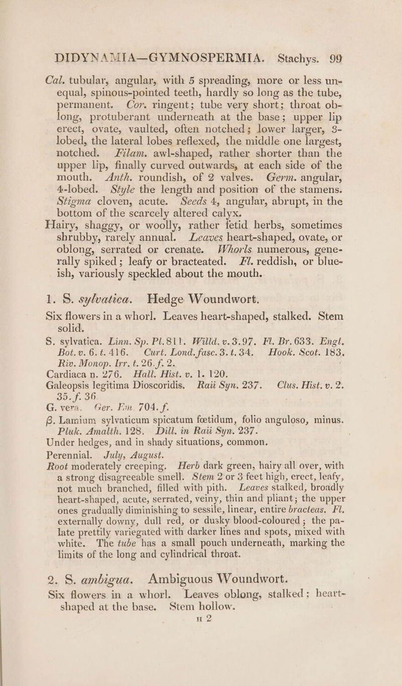 Cal. tubular, angular, with 5 spreading, more or less. un- equal, spinous-pointed teeth, hardly so long as the tube, permanent. Cor. ringent; tube very short; throat ob- long, protuberant underneath at the base; upper lip erect, ovate, vaulted, often notched; lower larger, 3- lobed, the lateral lobes reflexed, the middle one largest, notched. lam. awl-shaped, rather shorter than the upper lip, finally curved outwards, at each side of the mouth. Anth. roundish, of 2 valves. Germ. angular, 4-lobed. Style the length and position of the stamens. Stigma cloven, acute. Seeds 4, angular, abrupt, in the bottom of the scarcely altered calyx. Hairy, shaggy, or woolly, rather fetid herbs, sometimes shrubby, rarely annual. Leaves heart-shaped, ovate, or oblong, serrated or crenate. Whorls numerous, gene- rally spiked; leafy or bracteated. 1. reddish, or blue- ish, variously speckled about the mouth. 1. 8. sylvatica. Hedge Woundwort. Six flowers in a whorl. Leaves heart-shaped, stalked. Stem solid. S. sylvatica. Linn. Sp. Pl.81). Willd. v.3.97, Fl. Br.633. Engl. Bot.v.6.¢.416. Curt. Lond. fase.3.t.34. Hook. Scot. 183. Riv. Monop. Irr. t. 26.f. 2. : Cardiaca n. 276. Hall. Hist. v. 1. 120. Galeopsis legitima Dioscoridis. Raii Syn. 237. Clus. Hist. v. 2. J0af- OO G. vera. Ger. Fim. 704. f. G. Lamiam sylvaticum spicatum foetidum, folio anguloso, minus. Pluk. Amalth. 128. Dill. in Rati Syn. 237. Under hedges, and in shady situations, common. Perennial. July, August. Lecthel Root moderately creeping. Herb dark green, hairy all over, with a strong disagreeable smell. Stem 2 or 3 feet high, erect, leafy, not much branched, filled with pith. Leaves stalked, broadly heart-shaped, acute, serrated, veiny, thin and pliant; the upper ones gradually diminishing to sessile, linear, entire bracteas, Fl. externally downy, dull red, or dusky blood-coloured ; the pa- late prettily variegated with darker lines and spots, mixed with white. The tube has a small pouch underneath, marking the limits of the long and cylindrical throat. 2. S. ambigua. Ambiguous Woundwort. Six flowers in a whorl. Leaves oblong, stalked; heart- shaped at the base. Stem hollow. H 2