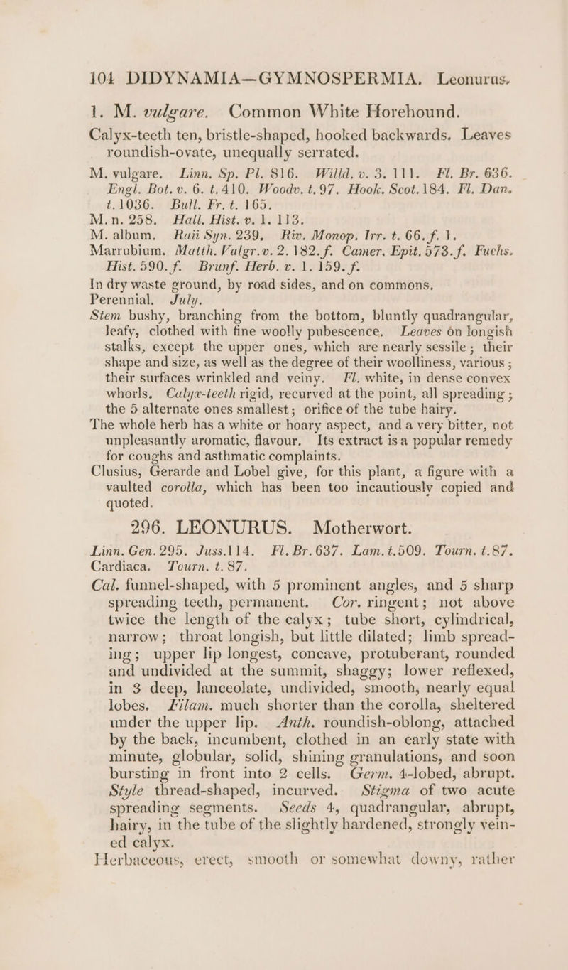 1. M. vulgare. Common White Horehound. Calyx-teeth ten, bristle-shaped, hooked backwards. Leaves roundish-ovate, unequally serrated. M. vulgare. Linn. Sp. Pl. 816. Willd. v. 3.111. Fl. Br. 636. Engl. Bot. v. 6. t.410. Woodv. t.97. Hook. Scot.184. Fl. Dan. 1 A036. Balk Prt Oat Min. 258. |‘ Hall. Histev hi A 08; M. album. Raii Syn. 239. Riv. Monop. Irr. t. 66. f. }. Marrubium. Matth. Valgr.v. 2.182. f. Camer. Epit.573.f. Fuchs. Hist.590. f. Brunf. Herb. v. 1. 159. f. In dry waste ground, by road sides, and on commons, Perennial. July. Stem bushy, branching from the bottom, bluntly quadrangular, Jeafy, clothed with fine woolly pubescence. Leaves on longish stalks, except the upper ones, which are nearly sessile ; their shape and size, as well as the degree of their woolliness, various ; their surfaces wrinkled and veiny. Fl. white, in dense convex whorls. Calyx-teeth rigid, recurved at the point, all spreading ; the 5 alternate ones smallest; oriftce of the tube hairy. The whole herb has a white or hoary aspect, anda very bitter, not unpleasantly aromatic, flavour. Its extract isa popular remedy for coughs and asthmatic complaints. Clusius, Gerarde and Lobel give, for this plant, a figure with a vaulted corolla, which has been too incautiously copied and quoted. 296. LEONURUS. Motherwort. Linn. Gen. 295. Juss.114. Fl. Br.637. Lam.t.509. Tourn. t.87. Cardiaca. Tourn. t. 87. Cal. funnel-shaped, with 5 prominent angles, and 5 sharp spreading teeth, permanent. Cor. ringent; not above twice the length of the calyx; tube short, cylindrical, narrow; throat longish, but little dilated; limb spread- ing; upper lip longest, concave, protuberant, rounded and undivided at the summit, shaggy; lower reflexed, in 3 deep, lanceolate, undivided, smooth, nearly equal lobes. £7lam. much shorter than the corolla, sheltered under the upper lip. Anth. roundish-oblong, attached by the back, incumbent, clothed in an early state with minute, globular, solid, shining granulations, and soon bursting in front into 2 cells. Germ. 4-lobed, abrupt. Style thread-shaped, incurved. Stigma of two acute spreading segments. Seeds 4, quadrangular, abrupt, hairy, in the tube of the slightly hardened, strongly vein- ed calyx. Herbaceous, erect, smooth or somewhat downy, rather