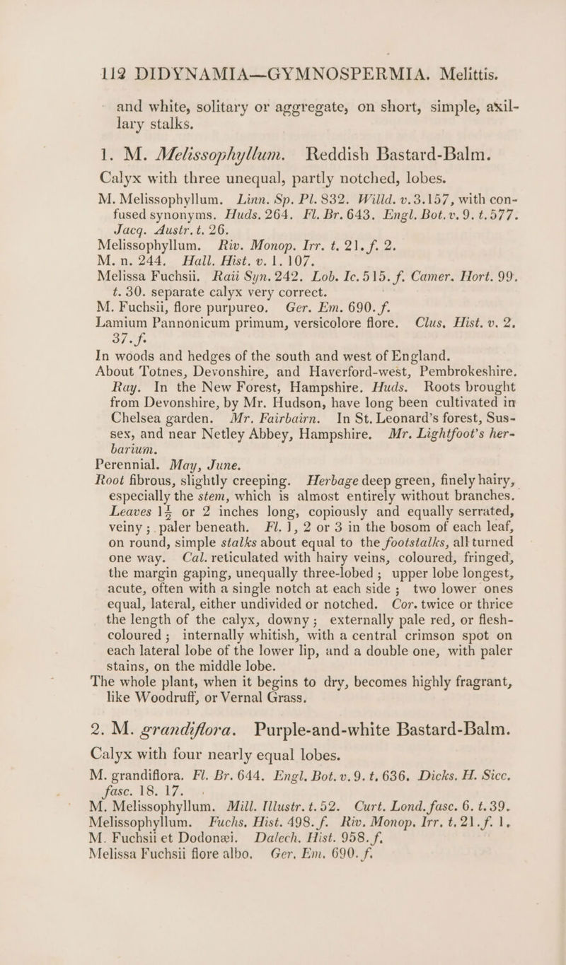 and white, solitary or aggregate, on short, simple, axil- lary stalks. 1. M. Mehssophyllum. Reddish Bastard-Balm. Calyx with three unequal, partly notched, lobes. M. Melissophyllum. Linn. Sp. Pl. 832. Willd. v.3.157, with con- fused synonyms. Huds. 264. Fl. Br.643. Engl. Bot.v.9. t.577. Jacq. Austr. t. 26. Melissophyllum. Riv. Monop. Irr. t. 21. f. 2. M.n. 244. Hall, Hist. v. 1.107. Melissa Fuchsii. Rati Syn. 242. Lob. Ic.515. f. Camer. Hort. 99. t. 30. separate calyx very correct. M. Fuchsii, flore purpureo, Ger. Em. 690. /f. Lamium Pannonicum primum, versicolore flore. Clus, Hist. v. 2. 37. fe In woods and hedges of the south and west of England. About Totnes, Devonshire, and Haverford-west, Pembrokeshire. Ray. In the New Forest, Hampshire. Huds. Roots brought from Devonshire, by Mr. Hudson, have long been cultivated in Chelsea garden. Mr. Fairbairn. In St. Leonard’s forest, Sus- sex, and near Netley Abbey, Hampshire. Mr. Lightfoot’s her- barium. Perennial. May, June. Root fibrous, slightly creeping. Herbage deep green, finely hairy, especially the stem, which is almost entirely without branches. Leaves 1$ or 2 inches long, copiously and equally serrated, veiny ; paler beneath. Fl. 1], 2 or 3 in the bosom of each leaf, on round, simple stalks about equal to the footstalks, all turned one way. Cal. reticulated with hairy veins, coloured, fringed, the margin gaping, unequally three-lobed ; upper lobe longest, acute, often with a single notch at each side ; two lower ones equal, lateral, either undivided or notched. Cor. twice or thrice the length of the calyx, downy; externally pale red, or flesh- coloured ; internally whitish, with a central crimson spot on each lateral lobe of the lower lip, and a double one, with paler stains, on the middle lobe. The whole plant, when it begins to dry, becomes highly fragrant, like Woodruff, or Vernal Grass. 2. M. grandiflora. Purple-and-white Bastard-Balm. Calyx with four nearly equal lobes. M. grandiflora. Fl. Br. 644. Engl. Bot.v.9.t.636. Dicks. H. Sicc. wae. 185, Li. 4s M. Melissophyllum. Mill. [lustr.t.52. Curt. Lond. fase. 6. t.39. Melissophyllum. Fuchs, Hist. 498. f. Riv. Monop., Irr, t.21.f. 1. M. Fuchsii et Dodonei. Dalech. Hist. 958. f. Melissa Fuchsii flore albo. Ger, Em. 690. f.