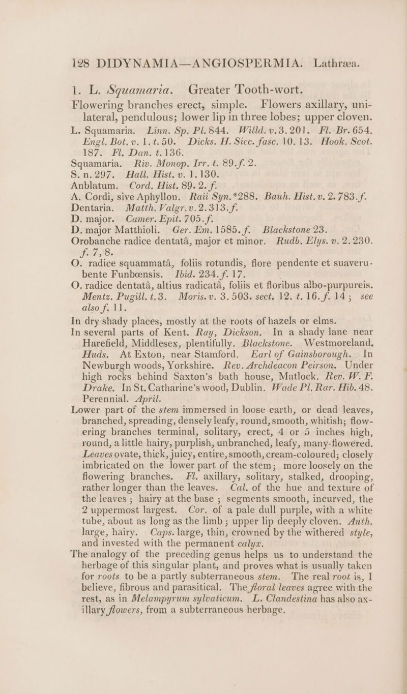 1. L. Squamaria. Greater Tooth-wort. Flowering branches erect, simple. Flowers axillary, uni- lateral, pendulous; lower lip in three lobes; upper cloven. L. Squamaria. Linn. Sp. Pl.844. Willd. v.3.201. Fl. Br. 654. Engl. Bot.v.1.t.50. Dicks. H. Sice. fasc. 10.13. Hook. Scot. 187. Fl. ‘Dan. €/136. Squamaria. Riv. Monop. Irr. t. 89.f. 2. S.n.297. Hall. Hist. v. 1.130. Anblatum. Cord. Hist. 89. 2. /f. A. Cordi, sive Aphyllon. Raii Syn.*288. Bauh. Hist. v. 2.783.f. Dentaria. Matth. Valgr.v.2.313.f. D. major. Camer. Epit. 705. f. D. major Matthioli. Ger. Em. 1585. f. Blackstone 23. Orobanche radice dentata, major et minor. Rudb, Elys. v, 2.230. FF 18. O. radice squammatd, foliis rotundis, flore pendente et suaveru- bente Funbeensis. Ibid. 234. f. 17. O. radice dentata, altius radicata, foliis et floribus albo-purpureis. Mentz. Pugill.t.3. Moris. v. 3.503. sect. 12. t.16.f.14; see also f. 11. In dry shady places, mostly at the roots of hazels or elms. In several parts of Kent. Ray, Dickson. In a shady lane near Harefield, Middlesex, plentifully. Blackstone. Westmoreland. Huds. At Exton, near Stamford. Earl of Gainsborough. In Newburgh woods, Yorkshire. Rev. Archdeacon Peirson. Under high rocks behind Saxton’s bath house, Matlock. Rev. W. F. Drake. InSt.Catharine’s wood, Dublin. Wade Pl, Rar. Hib. 48. Perennial. April. } Lower part of the stem immersed in loose earth, or dead leaves, branched, spreading, densely leafy, round, smooth, whitish; flow- ering branches terminal, solitary, erect, 4 or 5 inches high, round, alittle hairy, purplish, unbranched, leafy, many-flowered. Leaves ovate, thick, juicy, entire, smooth, cream-coloured; closely imbricated on the lower part of the stem; more loosely on the flowering branches. 1. axillary, solitary, stalked, drooping, rather longer than the leaves. Cal. of the hue and texture of the leaves ; hairy at the base ; segments smooth, incurved, the 2 uppermost largest. Cor. of a pale dull purple, with a white tube, about as long as the limb ; upper lip deeply cloven. &lt;Anth. large, hairy. Caps. large, thin, crowned by the withered style, and invested with the permanent calyx. The analogy of the preceding genus helps us to understand the herbage of this singular plant, and proves what is usually taken for roots to be a partly subterraneous stem. The real root is, I believe, fibrous and parasitical. The floral leaves agree with the rest, as in Melampyrum sylvaticum. LL. Clandestina has also ax- illary flowers, from a subterraneous herbage.