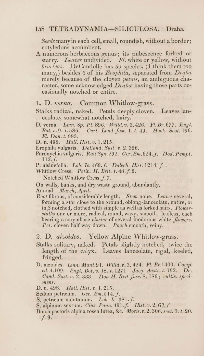 Seeds many in each cell, small, roundish, without a border; cotyledons accumbent. A numerous herbaceous genus; its pubescence forked or starry. eaves undivided. 7. white or yellow, without bracteas. DeCandolle has 59 species, (1 think them too many,) besides 6 of his Hrophila, separated from Draba merely because of the cloven petals, an ambiguous cha- racter, some acknowledged Drabe having those parts oc- casionally notched or entire. 1. D. verna. Common Whitlow-grass. Stalks radical, naked. Petals deeply cloven. Leaves lan- ceolate, somewhat notched, hairy. D. verna. Linn. Sp. Pl. 896. Willd.v. 3.426. Fl. Br.677. Engl. Bot. v.9. t.586. Curt. Lond. fase. 1. t.49. Hook. Scot. 196. Fl. Dan. t. 983. D.n.496. Hall. Hist. v. 1.215. Erophila vulgaris. DeCand. Syst. v. 2.356. Paronychia vulgaris. Rati Syn.292. Ger. Em.624. f. Dod. Pempt. 112. f. P. alsinefolia. Lob. Ic. 469. f. Dalech. Hist. 1214. f. . Whitlow Cress. Petiv. H. Brit. t.48.f.6. Notched Whitlow Cress. f. 7. On walls, banks, and dry waste ground, abundantly. Annual. March, April. Root fibrous, of considerable length. Stem none. Leaves several, forming a star close to the ground, oblong-lanceolate, entire, or in 6 notched, clothed with simple as well as forked hairs. Flower- stalks one or more, radical, round, wavy, smooth, leafless, each bearing a corymbose cluster of several inodorous white flowers. Pet. cloven half way down. Pouch smooth, veiny. 2. D. aizordes. Yellow Alpine Whitlow-grass. Stalks solitary, naked. Petals slightly notched, twice the length of the calyx. Leaves lanceolate, rigid, keeled, fringed. D. aizoides. Linn. Mant.91. Willd.v.3. 424. Fl. Br.1400. Comp. ed.4.109. Engl. Bot.v.18.¢.1271. Jacg. Austr. t.192. De- . Cand, Syst. v. 2.333. Don H. Brit. fasc. 8.186; cultiv. speci- mens. D: n. 493... Ball, Hist. v, 1,205, Sedum petreum. Ger. Em.514. f. S. petreum montanum. Lob. Ic. 381. f. S. alpinum sextum. Clus. Pann. 491.f. Hist. v. 2. 62, f. Bursa pastoris alpina rosea lutea, &amp;c. Moris.v. 2.306. sect. 3. t. 20. Suds