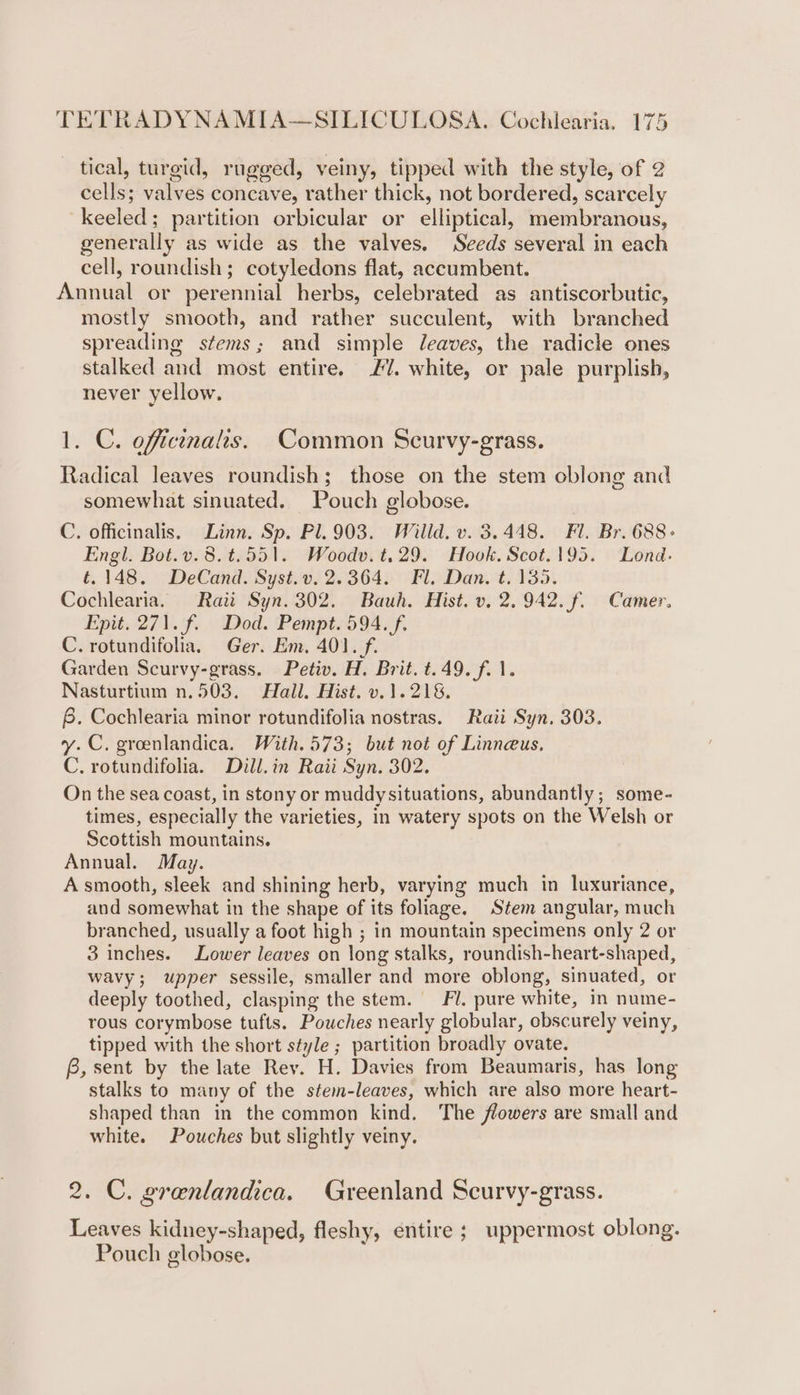 tical, turgid, rugged, veiny, tipped with the style, of 2 cells; valves concave, rather thick, not bordered, scarcely keeled; partition orbicular or elliptical, membranous, generally as wide as the valves. Seeds several in each cell, roundish; cotyledons flat, accumbent. Annual or perennial herbs, celebrated as antiscorbutic, mostly smooth, and rather succulent, with branched spreading stems; and simple Jdeaves, the radicle ones stalked and most entire. £7. white, or pale purplish, never yellow. 1. C. officinalis. Common Scurvy-grass. Radical leaves roundish; those on the stem oblong and somewhat sinuated. Pouch globose. C. officinalis, Linn. Sp. Pl. 903. Willd. v. 3.448. Fl. Br. 688- Engl. Bot.v.8.t.551. Woodv.t,29. Hook. Scot.195. Lond: €.148. DeCand. Syst.v. 2.364. Fl. Dan. t. 135. Cochlearia. Raitt Syn. 302. Bauh. Hist. v, 2,942. f. Camer. Epit. 271. f. Dod. Pempt. 594. f. C. rotundifolia. Ger. Em. 401./f. Garden Scurvy-grass. Petiv. H. Brit. t.49. f. 1. Nasturtium n.503. Hall. Hist. v.1.218. 6. Cochlearia minor rotundifolia nostras. Raii Syn. 303. y.C. grenlandica. With.573; but not of Linnaeus. C. rotundifolia. Dill.in Raii Syn. 302. On the sea coast, in stony or muddysituations, abundantly; some- times, especially the varieties, in watery spots on the Welsh or Scottish mountains. Annual. May. A smooth, sleek and shining herb, varying much in luxuriance, and somewhat in the shape of its foliage. Stem angular, much branched, usually a foot high ; in mountain specimens only 2 or 3 inches. Lower leaves on long stalks, roundish-heart-shaped, wavy; upper sessile, smaller and more oblong, sinuated, or deeply toothed, clasping the stem. Fl. pure white, in nume- rous corymbose tufts. Pouches nearly globular, obscurely veiny, tipped with the short style ; partition broadly ovate. B, sent by the late Rev. H. Davies from Beaumaris, has long stalks to many of the stem-leaves, which are also more heart- shaped than in the common kind. The flowers are small and white. Pouches but slightly veiny. 2. C. grenlandica. Greenland Scurvy-grass. Leaves kidney-shaped, fleshy, entire ; uppermost oblong. Pouch globose.