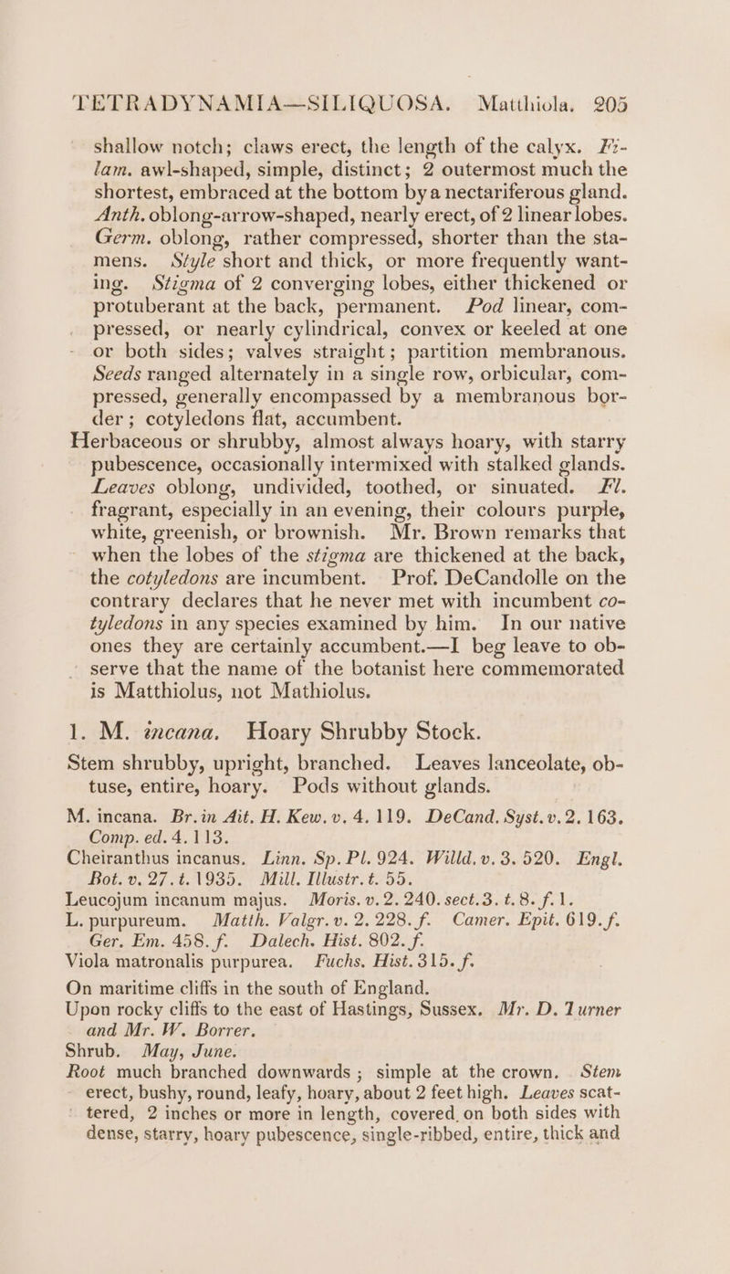 shallow notch; claws erect, the length of the calyx. #- lam. awl-shaped, simple, distinct; 2 outermost much the shortest, embraced at the bottom bya nectariferous gland. Anth. oblong-arrow-shaped, nearly erect, of 2 linear lobes. Germ. oblong, rather compressed, shorter than the sta- mens. S¢yle short and thick, or more frequently want- ing. Stigma of 2 converging lobes, either thickened or protuberant at the back, permanent. Pod linear, com- pressed, or nearly cylindrical, convex or keeled at one or both sides; valves straight; partition membranous. Seeds ranged alternately in a single row, orbicular, com- pressed, generally encompassed by a membranous bor- der ; cotyledons flat, accumbent. Herbaceous or shrubby, almost always hoary, with starry pubescence, occasionally intermixed with stalked glands. Leaves oblong, undivided, toothed, or sinuated. £7. fragrant, especially in an evening, their colours purple, white, greenish, or brownish. Mr. Brown remarks that when the lobes of the s¢7gma are thickened at the back, the cotyledons are incumbent. Prof. DeCandolle on the contrary declares that he never met with incumbent co- tyledons in any species examined by him. In our native ones they are certainly accumbent.—I beg leave to ob- serve that the name of the botanist here commemorated is Matthiolus, not Mathiolus. 1. M. excana. Hoary Shrubby Stock. Stem shrubby, upright, branched. Leaves lanceolate, ob- tuse, entire, hoary. Pods without glands. i M. incana. Br.in Ait. H. Kew.v, 4.119. DeCand. Syst.v. 2.163. Comp. ed. 4.113. Cheiranthus incanus. Linn. Sp. Pl. 924. Willd. v. 3.520. Engl. Bot. v. 27.¢.1935. Mill. Illustr. t. 55. Leucojum incanum majus. Moris. v. 2.240. sect.3. t.8. fil. L. purpureum. Matth. Valgr.v. 2.228. f. Camer. Epit. 619. f. Ger. Em. 458. f. Dalech. Hist. 802. f. Viola matronalis purpurea. Fuchs. Hist.315. f. On maritime cliffs in the south of England. Upon rocky cliffs to the east of Hastings, Sussex. Mr. D. Turner and Mr. W. Borrer. Shrub. May, June. Root much branched downwards ; simple at the crown. . Stem - erect, bushy, round, leafy, hoary, about 2 feet high. Leaves scat- tered, 2 inches or more in length, covered. on both sides with dense, starry, hoary pubescence, single-ribbed, entire, thick and