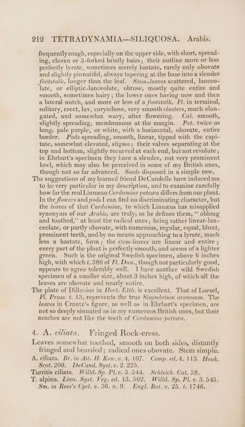 frequently rough, especially on the upper side, with short, spread- ing, cloven or 3-forked bristly hairs; their outline more or less perfectly lyrate, sometimes merely hastate, rarely only obovate and slightly pinnatifid, always tapering at the base into a slender footstalk, longer than the leaf. Stem-leaves scattered, lanceo- late, or elliptic-lanceolate, obtuse, mostly quite entire and smooth, sometimes hairy; the lower ones having now and then a lateral notch, and more or less of a footstalk. Fl. in terminal, solitary, erect, lax, corymbose, very smooth clusters, much. elon - gated, and somewhat wavy, after flowering. Cal. smooth, slightly spreading, membranous at the margin. Pet. twice as long, pale purple, or white, with a horizontal, obovate, entire border. Pods spreading, smooth, linear, tipped with the capi- tate, somewhat elevated, stigma; their valves separating at the top and bottom, slightly recurved at each end, but not revolute ; in Ehrhart’s specimen they have a slender, not very prominent keel, which may also be perceived in some of my British ones, though not so far advanced. Seeds disposed in a simple row. The suggestions of my learned friend DeCandolle have induced me. to be very particular in my description, and to examine carefully how far the real Linnean Cardamine petrea differs from our plant. In the flowers and pods I can find no discriminating character, but the leaves of that Cardamine, to which Linneus has misapplied synonyms of our Arabis, are truly, as he defines them, ‘‘ oblong and toothed,” at least the radical ones; being rather linear-lan- ceolate, or partly obovate, with numerous, regular, equal, blunt, prominent teeth, and by no means approaching toa lyrate, much less a hastate, form; the stem-leaves are linear and entire ; every part of the plant is perfectly smooth, and seems of a lighter green. Such is the original Swedish specimen, above 6 inches high, with which ¢. 386 of Fl. Dan., though not particularly good, appears to agree tolerably well. I have another wild Swedish specimen of a smaller size, about 3 inches high, of which all the leaves are obovate and nearly entire. The plate of Dillenius in Hort. Elth. is excellent. That of Loesel, Fl. Pruss. t. 13, represents the true Sisymbriwm arenosum. The leaves in Crantz’s figure, as well as in Ehrhart’s specimen, are not so deeply sinuated as in my numerous British ones, but their notches are not like the teeth of Cardamine petrea. 4. A. ciliata. Fringed Rock-cress. Leaves somewhat toothed, smooth on both sides, distantly fringed and bearded; radical ones obovate. Stem simple. A. ciliata. Br. in Ait. H. Kew.v.4. 107. Comp. ed. 4. 113. Hook. Scot. 200. DeCand. Syst. v. 2.225. Turritis ciliata. Willd. Sp. Pl.v. 3.544. Schleich. Cat. 59. T. alpina. Linn. Syst. Veg. ed. 13.502. Willd. Sp. Pl. v. 3.545. Sm. in Rees’s Cycl. v. 36.n.9. Engl. Bot. v. 25. t. 1746.