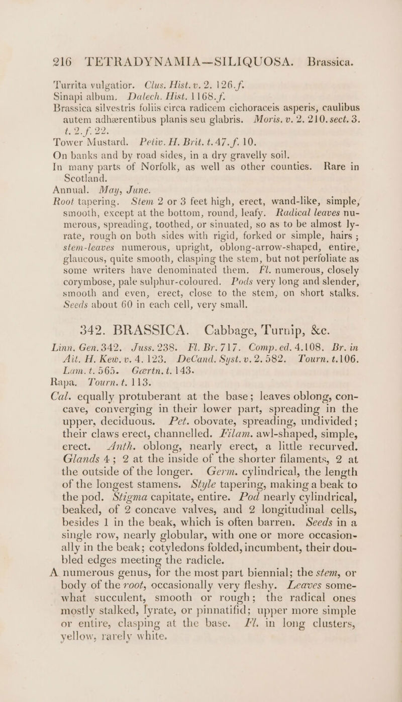 Turrita vulgatior. Clus. Hist.v. 2. 126.f. Sinapi album. Dalech. Hist. 1168. f. Brassica silvestris foliis circa radicem cichoraceis asperis, caulibus autem adherentibus planis seu glabris. Moris, v. 2. 210. sect. 3. 9. fi 22. Tower Mustard. Peiiv. H. Brit. t.47.f. 10. On banks and by road sides, in a dry gravelly soil. In many parts of Norfolk, as well as other counties. Rare in Scotland. | Annual. May, June. Root tapering. Stem 2 or 3 feet high, erect, wand-like, simple, smooth, except at the bottom, round, leafy. Radical leaves nu- merous, spreading, toothed, or sinuated, so as to be almost ly- rate, rough on both sides with rigid, forked or simple, hairs ; stem-leaves numerous, upright, oblong-arrow-shaped, entire, glaucous, quite smooth, clasping the stem, but not perfoliate as some writers have denominated them. Fl. numerous, closely corymbose, pale sulphur-coloured. Pods very long and slender, smooth and even, erect, close to the stem, on short stalks. Seeds about 60 in each cell, very small. 342. BRASSICA. Cabbage, Turnip, &amp;c. Linn. Gen. 342. « Juss: 238. Fl, Bro7 17. Comp,ed. 4:108; | Br.'in Ait. H. Kew. v. 4.123. DeCand. Syst.v. 2.582. Tourn. t.106. Lam. t.565. Gaertn. t. 143. Rapa. Tourn. t. 1138. Cal. equally protuberant at the base; leaves oblong, con- cave, converging in their lower part, spreading in the upper, deciduous. Pet. obovate, spreading, undivided ; their claws erect, channelled. 27am. awl-shaped, simple, erect. dnth. oblong, nearly erect, a little recurved. Glands 4; 2 at the inside of the shorter filaments, 2 at the outside of the longer. Germ. cylindrical, the length of the longest stamens. S¢yle tapering, making a beak to the pod. Stioma capitate, entire. Pod nearly cylindrical, beaked, of 2 concave valves, and 2 longitudinal cells, besides 1 in the beak, which is often barren. Seeds in a single row, nearly globular, with one or more occasion- ally i in the beak; cotyledons folded, incumbent, their dou- bled edges meeting the radicle. A numerous genus, for the most part biennial; the stem, or body of the root, occasionally very fleshy. Leaves some- what eo Gs smooth or rough; the radical ones mostly stalked, lyrate, or pinnatifid; upper more simple or entire, clasping at the base. 7. in long clusters, yellow, rarely white.