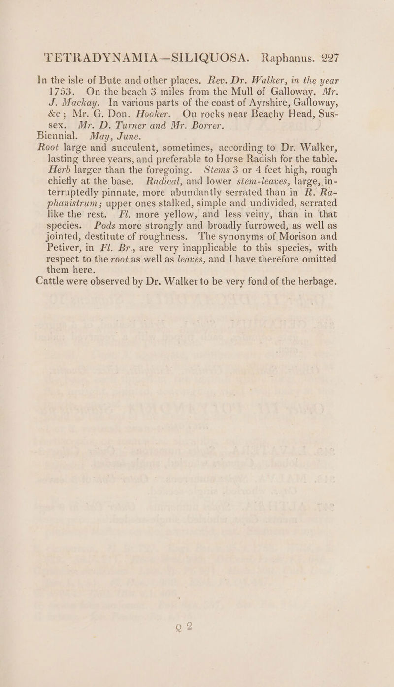 In the isle of Bute and other places. Rev. Dr. Walker, in the year 1753. On the beach 3 miles from the Mull of Galloway. Mr. J. Mackay. In various parts of the coast of Ayrshire, Galloway, &amp;e; Mr. G. Don. Hooker. On rocks near Beachy Head, Sus- sex. Mr. D. Turner and Mr. Borrer. , Biennial. May, June. Root large and succulent, sometimes, according to Dr. Walker, lasting three years, and preferable to Horse Radish for the table. Herb larger than the foregoing. Stems 3 or 4 feet high, rough chiefly at the base. Radical, and lower stem-leaves, large, in- terruptedly pinnate, more abundantly serrated than in R. Ra- phanistrum; upper ones stalked, simple and undivided, serrated like the rest. J. more yellow, and less veiny, than in that species. Pods more strongly and broadly furrowed, as well as jointed, destitute of roughness. The synonyms of Morison and Petiver, in Fl. Br., are very inapplicable to this species, with respect to the root as well as leaves, and I have therefore omitted them here. Cattle were observed by Dr. Walker to be very fond of the herbage.