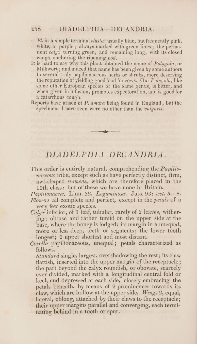 Fl. in @ simple terminal cluster usually blue, but frequently pink, white, or purple; always marked with green lines; the perma- nent calyx turning green, and remaining long, with its closed wings, sheltering the ripening pod. It is hard to say why this plant obtained the name of Polygala, or Milkwort ; and indeed that name has been given by some authors to several truly papilionaceous herbs or shrubs, more deserving the reputation of yielding good food for cows. Our Polygala, like some other European species of the same genus, is bitter, and when given in infusion, promotes expectoration, and is good for a catarrhous cough. Reports have arisen of P. amara being found in England; but the specimens [ have seen were no other than the vu/garis. DIADELPHIA DECANDRIA. This order is entirely natural, comprehending the Papilzo- naceous tribe, except such as have perfectly distinct, firm, awl-shaped stamens, which are therefore placed in the 10th class; but of these we have none in Britain. Papilionacee. Linn. 32. Leguminose. Juss. 93; sect. 5—8. Flowers all complete and perfect, except in the petals of a very few exotic species. . Calyx inferior, of 1 leaf, tubular, rarely of 2 leaves, wither- ing; obtuse and rather tumid on the upper side at the base, where the honey is lodged; its margin in 5 unequal, more or less deep, teeth or segments; the lower tooth longest; 2 upper shortest and most distant. Corolla papilionaceous, unequal; petals characterized as follows. ) Standard single, largest, overshadowing the rest; its claw flattish, inserted into the upper margin of the receptacle ; the part beyond the calyx roundish, or obovate, scarcely ever divided, marked with a longitudinal central fold or keel, and depressed at each side, closely embracing the petals beneath, by means of 2 prominences towards its claw, which are hollow at the upper side. Wings 2, equal, lateral, oblong, attached by their claws to the receptacle; their upper margins parallel and converging, each termi- nating behind in a tooth or spur.