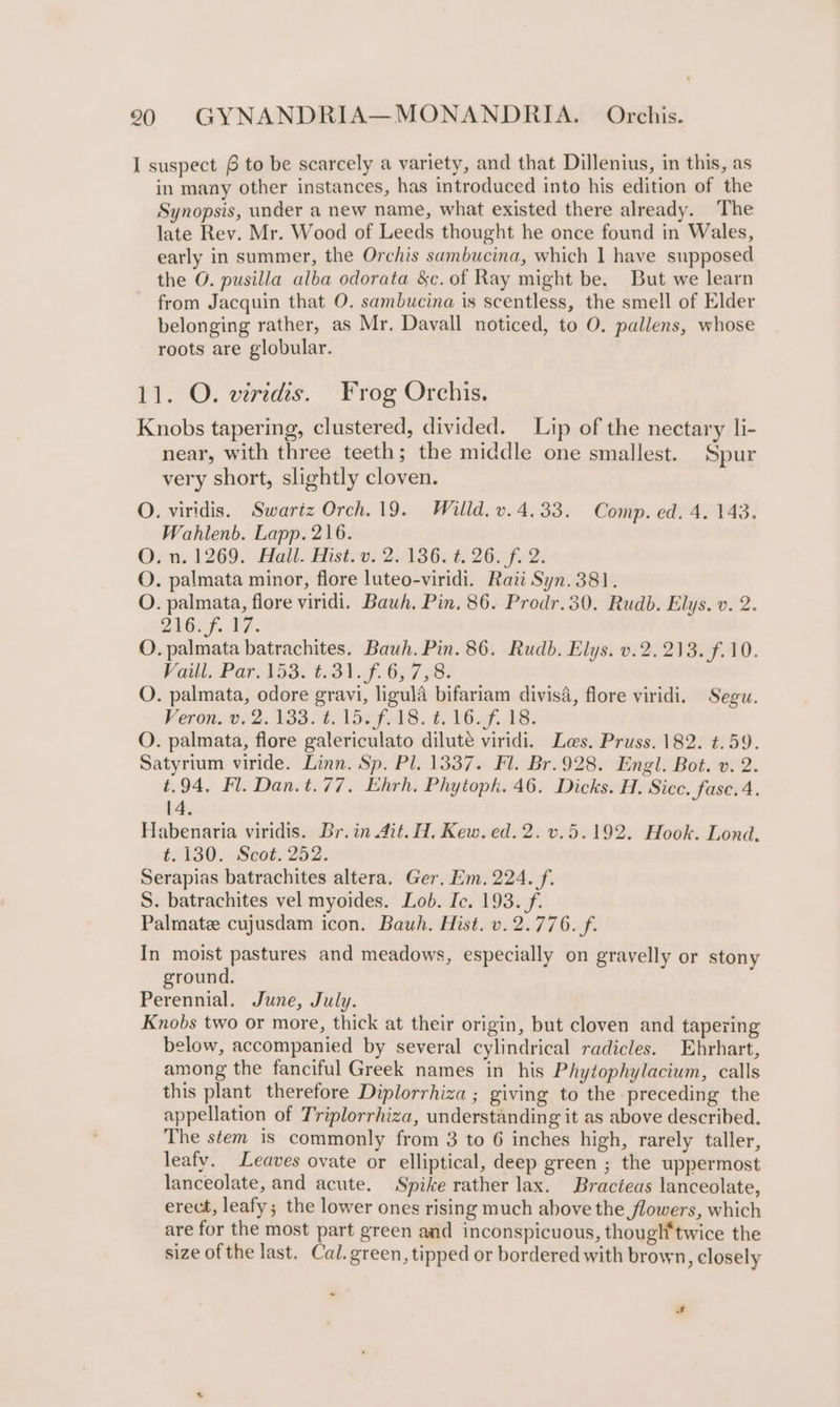 I suspect f to be scarcely a variety, and that Dillenius, in this, as in many other instances, has introduced into his edition of the Synopsis, under a new name, what existed there already. The late Rev. Mr. Wood of Leeds thought he once found in Wales, early in summer, the Orchis sambucina, which | have supposed the O. pusilla alba odorata &amp;c. of Ray might be. But we learn from Jacquin that O. sambucina is scentless, the smell of Elder belonging rather, as Mr. Davall noticed, to O. pallens, whose roots are globular. 11. O. viridis. Frog Orchis. Knobs tapering, clustered, divided. Lip of the nectary li- near, with three teeth; the middle one smallest. Spur very short, slightly cloven. O. viridis. Swartz Orch. 19. Willd. v.4.33. Comp. ed. 4. 143. Wahlenb. Lapp. 216. O. n. 1269. Hail. Hist. v: 2. 136. t. 26. f. 2. O. palmata minor, flore luteo-viridi. Rati Syn. 381. O. palmata, flore viridi. Bauh, Pin. 86. Prodr.30. Rudb. Elys. v. 2. 216. f. 17. O. palmata batrachites. Bauh. Pin. 86. Rudb. Elys. v.2. 213. f.10. Vall, Par, 1530 1:31... 6,57 58. O. palmata, odore gravi, ligula bifariam divis4, flore viridi. Segu. Veron. 002, 13328, 152f 8: (O86. G48: O. palmata, flore galericulato dilute viridi. Las. Pruss. 182. ¢.59. Satyrium viride. Linn. Sp. Pl. 1337. Fl. Br.928. Engl. Bot. v. 2. t.94, Fl. Dan.t.77, Ehrh. Phytopk. 46. Dicks. H. Sicc. fase. 4. 14. Habenaria viridis. Br.in 4it. H,. Kew. ed. 2. v.5.192. Hook. Lond. t.130. Scot. 252. Serapias batrachites altera. Ger. Em, 224. f. S. batrachites vel myoides. Lob. Ic. 193. f. Palmate cujusdam icon. Bauh. Hist. v. 2.776. f. In moist pastures and meadows, especially on gravelly or stony ground. Perennial. June, July. Knobs two or more, thick at their origin, but cloven and tapering below, accompanied by several cylindrical radicles. Ehrhart, among the fanciful Greek names in his Phytophylacium, calls this plant therefore Diplorrhiza ; giving to the preceding the appellation of Triplorrhiza, understanding it as above described. The stem is commonly from 3 to 6 inches high, rarely taller, leafy. Leaves ovate or elliptical, deep green ; the uppermost lanceolate, and acute. Spike rather lax. Bracteas lanceolate, erect, leafy; the lower ones rising much above the flowers, which are for the most part green and inconspicuous, thought twice the size ofthe last. Cal. green, tipped or bordered with brown, closely f