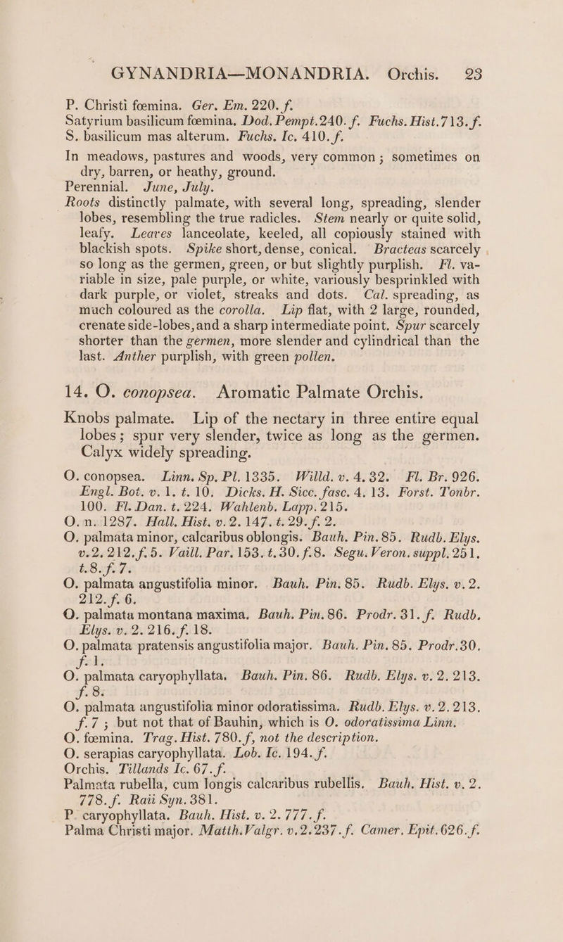 P. Christi foemina. Ger. Em, 220. f. Satyrium basilicum foemina, Dod. Pempt.240. f. Fuchs. Hist.713.f. S. basilicum mas alterum. Fuchs, Ic. 410. f. In meadows, pastures and woods, very common; sometimes on dry, barren, or heathy, ground. Perennial. June, July. Roots distinctly palmate, with several long, spreading, slender lobes, resembling the true radicles. Stem nearly or quite solid, leafy. Leaves lanceolate, keeled, all copiously stained with blackish spots. Spike short,dense, conical. Bracteas scarcely | so long as the germen, green, or but slightly purplish. FU. va- riable in size, pale purple, or white, variously besprinkled with dark purple, or violet, streaks and dots. Cal. spreading, as much coloured as the corolla. Lip flat, with 2 large, rounded, crenate side-lobes, and a sharp intermediate point. Spur scarcely shorter than the germen, more slender and cylindrical than the last. Anther purplish, with green pollen. 14. QO. conopsea. Aromatic Palmate Orchis. Knobs palmate. Lip of the nectary in three entire equal lobes ; spur very slender, twice as long as the germen. Calyx widely spreading. O. conopsea. Linn. Sp. Pl. 1335. Willd. v. 4.32. Fl. Br. 926. Engl. Bot. v.1.t.10. Dicks. H. Sicc. fasc. 4.13. Forst. Tonbr. 100. Fl. Dan. t. 224. Wahlenb. Lapp. 215. O.n..1287. Hall. Hist. v.2. 147. t. 29. f. 2. O. palmata minor, calcaribus oblongis. Bauh. Pin. 85. Rudb. Elys. v.2, 212. f.5. Vaill. Par. 153. t.30.f.8. Segu. Veron. suppl. 251, 8 ifoPs O. palmata angustifolia minor. Bauh. Pin. 85. Rudb. Elys. v.2. 212. f. 6. O. palmata montana maxima. Bauh. Pin.86. Prodr. 31. f. Rudb. Elys.v..2. 216. f.. 18. O. palmata pratensis angustifolia major. Bauh. Pin. 85. Prodr.30. faks O. palmata caryophyllata, Bauh. Pin. 86. Rudb. Elys. v. 2.213. 8 O. palmata angustifolia minor odoratissima. Rudb. Elys. v. 2.213. f.7 ; but not that of Bauhin, which is O. odoratissima Linn. O. feemina. Trag. Hist. 780. f, not the description. O. serapias caryophyllata. Lob. Ic. 194.f. Orchis. Tillands Ic. 67.f. Palmata rubella, cum longis calcaribus rubellis. Bawh. Hist. v. 2. 778. f. Raii Syn. 381. P. caryophyllata. Bauh. Hist. v. 2.777. f. Palma Christi major. Matih.Valgr. v.2.237.f. Camer, Epit.626.f.