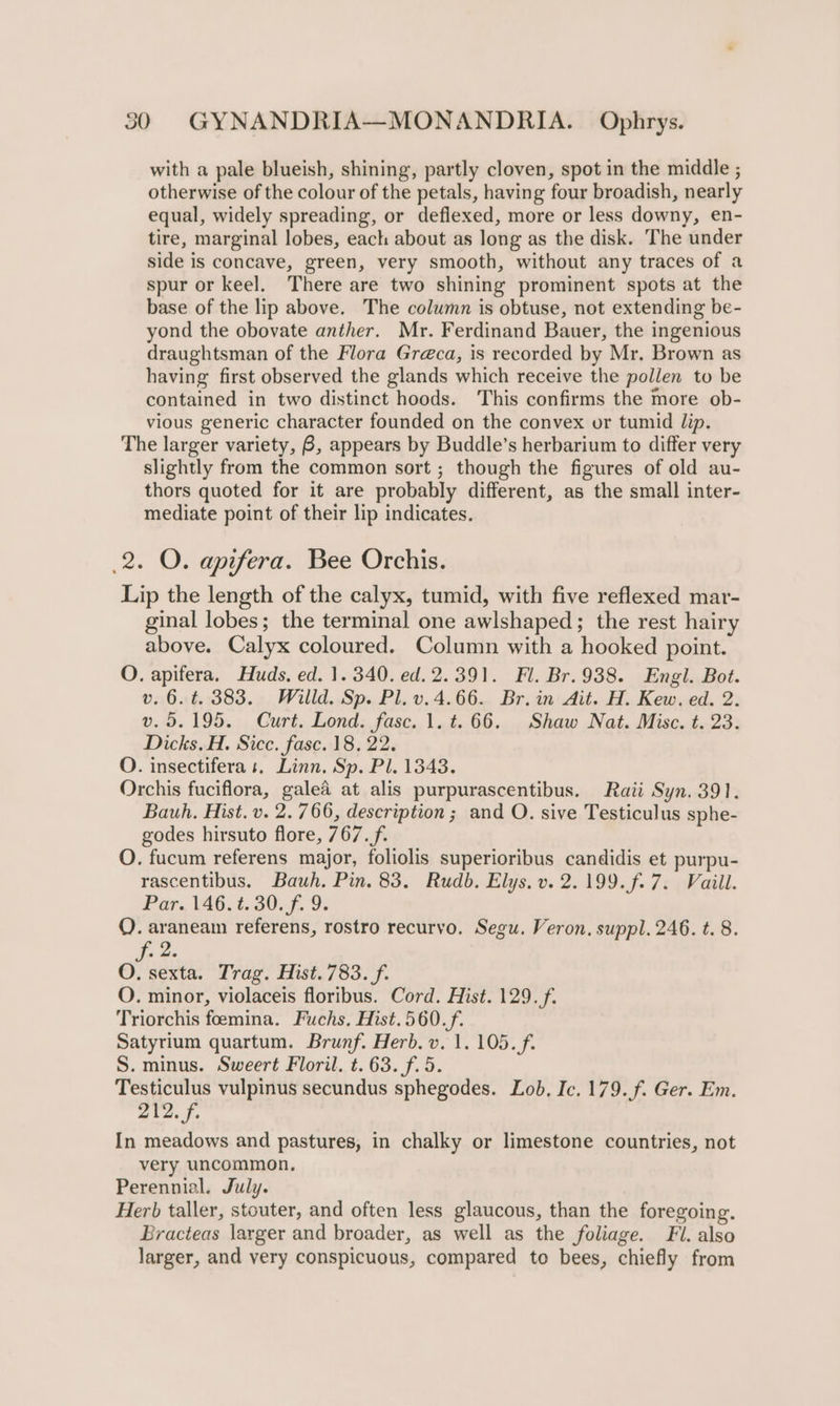 with a pale blueish, shining, partly cloven, spot in the middle ; otherwise of the colour of the petals, having four broadish, nearly equal, widely spreading, or deflexed, more or less downy, en- tire, marginal lobes, each about as long as the disk. The under side is concave, green, very smooth, without any traces of a spur or keel. There are two shining prominent spots at the base of the lip above. The column is obtuse, not extending be- yond the obovate anther. Mr. Ferdinand Bauer, the ingenious draughtsman of the Flora Gre@ca, is recorded by Mr. Brown as having first observed the glands which receive the pollen to be contained in two distinct hoods. This confirms the more ob- vious generic character founded on the convex or tumid lip. The larger variety, 8, appears by Buddle’s herbarium to differ very slightly from the common sort ; though the figures of old au- thors quoted for it are probably different, as the small inter- mediate point of their lip indicates. 2. O. apifera. Bee Orchis. Lip the length of the calyx, tumid, with five reflexed mar- ginal lobes; the terminal one awlshaped; the rest hairy above. Calyx coloured. Column with a hooked point. O. apifera. Huds, ed. 1.340. ed.2.391. Fl. Br.938. Engl. Bot. v. 6. ¢. 383. Willd. Sp. Pl. v.4.66. Br. in Ait. H. Kew. ed. 2. v.5.195. Curt. Lond. fasc. 1. t.66. Shaw Nat. Misc. t. 23. Dicks. H. Sicc. fasc. 18. 22. O. insectifera 1. Linn. Sp. Pl. 1343. Orchis fuciflora, galea at alis purpurascentibus. Raii Syn. 391. Bauh. Hist. v. 2.766, description ; and O. sive Testiculus sphe- godes hirsuto flore, 767. f. O. fucum referens major, foliolis superioribus candidis et purpu- rascentibus. Bauh. Pin. 83. Rudb. Elys.v. 2.199. f.7. Vaill. Par. t46.t.30.f. 9. Q. araneam referens, rostro recurvo. Segu. Veron. suppl. 246. t. 8. Te ae O. sexta. Trag. Hist. 783. f. O. minor, violaceis floribus. Cord. Hist. 129. f. Triorchis foemina. Fuchs. Hist.560.f. Satyrium quartum. Brunf. Herb. v. 1. 105. f. S. minus. Sweert Floril. t. 63. f. 5. Testiculus vulpinus secundus sphegodes. Lob, Ic. 179. f. Ger. Em. 212. f. In meadows and pastures, in chalky or limestone countries, not very uncommon. Perennial. July. Herb taller, stouter, and often less glaucous, than the foregoing. Bracteas larger and broader, as well as the foliage. Fl. also larger, and very conspicuous, compared to bees, chiefly from