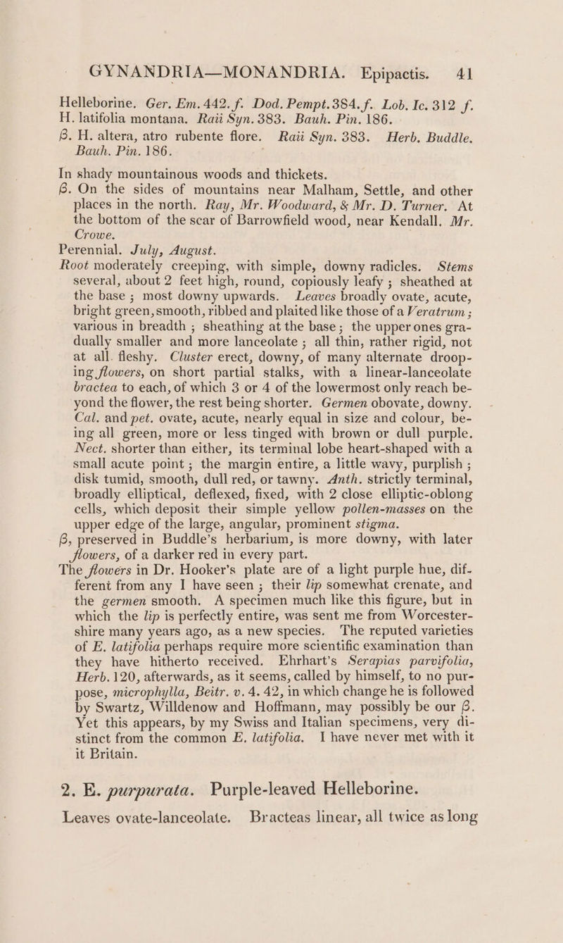 Helleborine. Ger. Em. 442. f. Dod. Pempt.384.f. Lob, Ic. 312 if. H. latifolia montana. Raii Syn. 383. Bauh. Pin. 186. 8. H. altera, atro rubente flore. Raii Syn. 383. Herb. Buddle. Bauh. Pin. 186. In shady mountainous woods and thickets. 6. On the sides of mountains near Malham, Settle, and other places in the north. Ray, Mr. Woodward, &amp; Mr. D. Turner. At the bottom of the scar of Barrowfield wood, near Kendall. Mr. Crowe. ; Perennial. July, August. Root moderately creeping, with simple, downy radicles. Stems several, about 2 feet high, round, copiously leafy ; sheathed at the base ; most downy upwards. Leaves broadly ovate, acute, bright green,smooth, ribbed and plaited like those of a Veratrum ; various in breadth ; sheathing at the base; the upper ones gra- dually smaller and more lanceolate ; all thin, rather rigid, not at all. fleshy. Cluster erect, downy, of many alternate droop- ing flowers, on short partial stalks, with a linear-lanceolate bractea to each, of which 3 or 4 of the lowermost only reach be- yond the flower, the rest being shorter. Germen obovate, downy. Cal. and pet. ovate, acute, nearly equal in size and colour, be- ing all green, more or less tinged with brown or dull purple. Nect. shorter than either, its terminal lobe heart-shaped with a small acute point; the margin entire, a little wavy, purplish ; disk tumid, smooth, dull red, or tawny. Anth. strictly terminal, broadly elliptical, deflexed, fixed, with 2 close elliptic-oblong cells, which deposit their simple yellow pollen-masses on the upper edge of the large, angular, prominent stigma. G, preserved in Buddle’s herbarium, is more downy, with later flowers, of a darker red in every part. The flowers in Dr. Hooker’s plate are of a light purple hue, dif- fereni from any I have seen ; their lip somewhat crenate, and the germen smooth. A specimen much like this figure, but in which the lip is perfectly entire, was sent me from Worcester- shire many years ago, as a new species. The reputed varieties of E. latifolia perhaps require more scientific examination than they have hitherto received. Ehrhart’s Serapias parvifolia, Herb. 120, afterwards, as it seems, called by himself, to no pur- pose, microphylla, Beitr. v. 4. 42, in which change he is followed by Swartz, Willdenow and Hoffmann, may possibly be our £6. Yet this appears, by my Swiss and Italian specimens, very di- stinct from the common E. latifolia. 1 have never met with it it Britain. 2. E. purpurata. Purple-leaved Helleborine. Leaves ovate-lanceolate. Bracteas linear, all twice as long