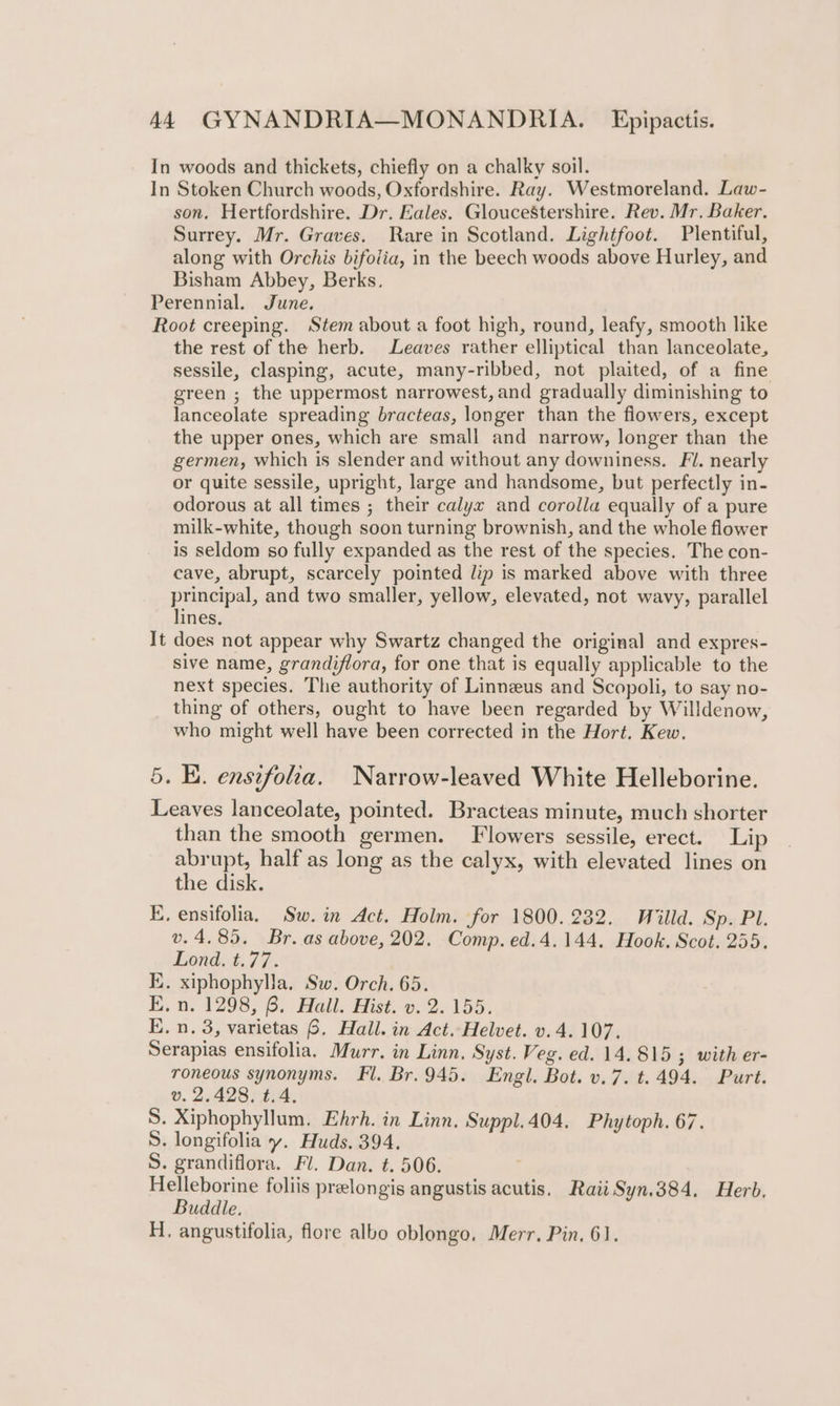 In woods and thickets, chiefly on a chalky soil. In Stoken Church woods, Oxfordshire. Ray. Westmoreland. Law- son. Hertfordshire. Dr. Eales. Gloucestershire. Rev. Mr. Baker. Surrey. Mr. Graves. Rare in Scotland. Lightfoot. Plentiful, along with Orchis bifolia, in the beech woods above Hurley, and Bisham Abbey, Berks. Perennial. June. : Root creeping. Stem about a foot high, round, leafy, smooth like the rest of the herb. Leaves rather elliptical than lanceolate, sessile, clasping, acute, many-ribbed, not plaited, of a fine green ; the uppermost narrowest, and gradually diminishing to lanceolate spreading bracteas, longer than the flowers, except the upper ones, which are small and narrow, longer than the germen, which is slender and without any downiness. Fi. nearly or quite sessile, upright, large and handsome, but perfectly in- odorous at all times ; their calyx and corolla equally of a pure milk-white, though soon turning brownish, and the whole flower is seldom so fully expanded as the rest of the species. The con- cave, abrupt, scarcely pointed lip is marked above with three principal, and two smaller, yellow, elevated, not wavy, parallel lines, It does not appear why Swartz changed the original and expres- sive name, grandiflora, for one that is equally applicable to the next species. The authority of Linnzus and Scopoli, to say no- thing of others, ought to have been regarded by Willdenow, who might well have been corrected in the Hort. Kew. 5. E. ensifolia. Narrow-leaved White Helleborine. Leaves lanceolate, pointed. Bracteas minute, much shorter than the smooth germen. Flowers sessile, erect. Lip abrupt, half as long as the calyx, with elevated lines on the disk. E. ensifolia, Sw. in Act. Holm. for 1800. 232. Willd. Sp. Pl. v. 4.85. Br. as above, 202. Comp. ed.4.144. Hook. Scot. 255. Lond. t.77. KE. xiphophylla, Sw. Orch. 65. E.n. 1298, 6. Hall. Hist. v. 2.155. E., n. 3, varietas 6. Hall. in Act. Helvet. v.4. 107. Serapias ensifolia. Murr. in Linn, Syst. Veg. ed. 14.815 ; with er- roneous synonyms. Fl. Br.945. Engl. Bot. v.7. t.494. Purt. v. 2.428, t.4. S. Xiphophyllum. Ehrh. in Linn, Suppl.404. Phytoph. 67. S. longifolia y. Huds. 394. S. grandiflora. Fl. Dan. t. 506. Helleborine foliis prelongis angustis acutis. Raii Syn.384. Herb. Buddle. H. angustifolia, flore albo oblongo. Merr. Pin. 61.